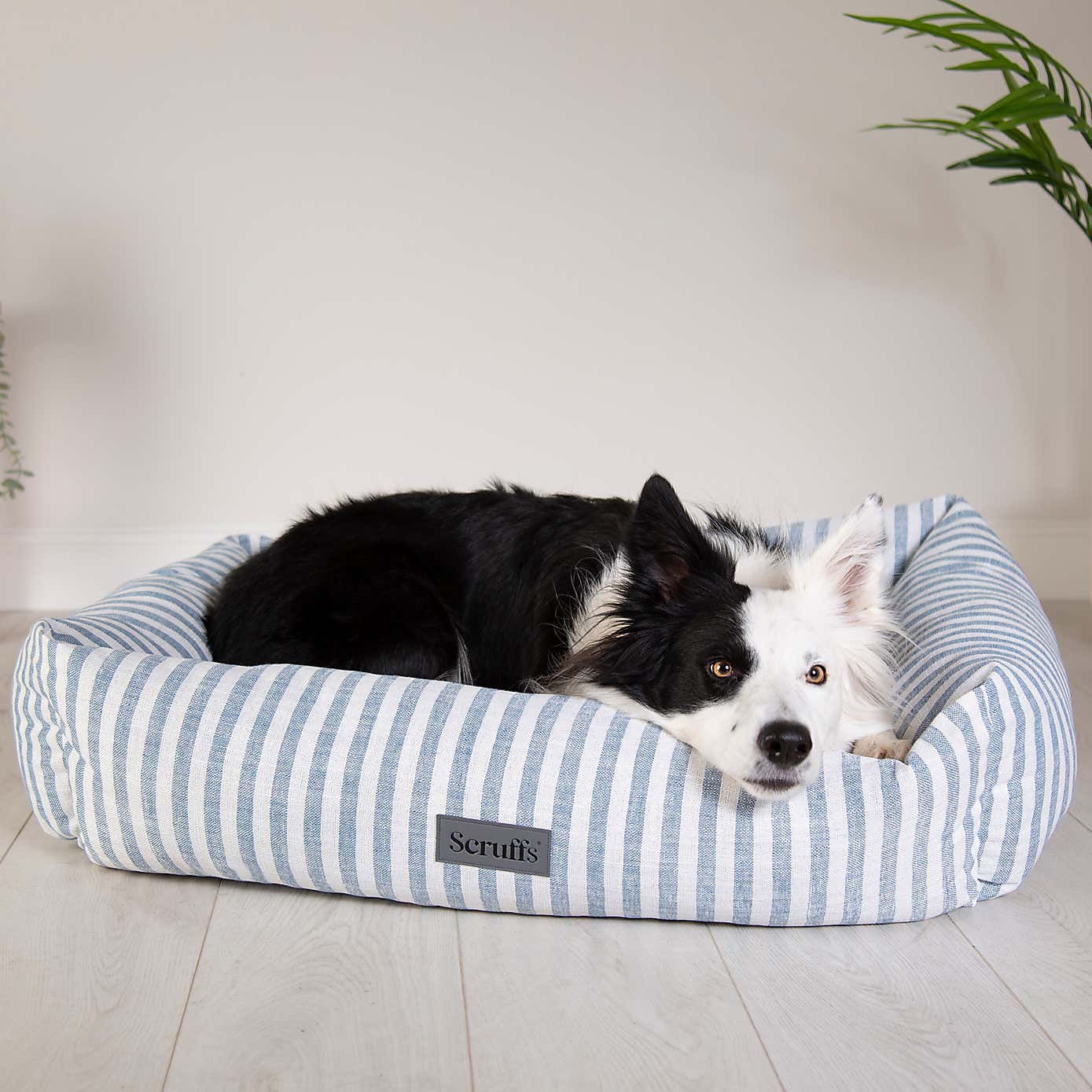 Scruffs Luxury Coastal Pet Box Bed