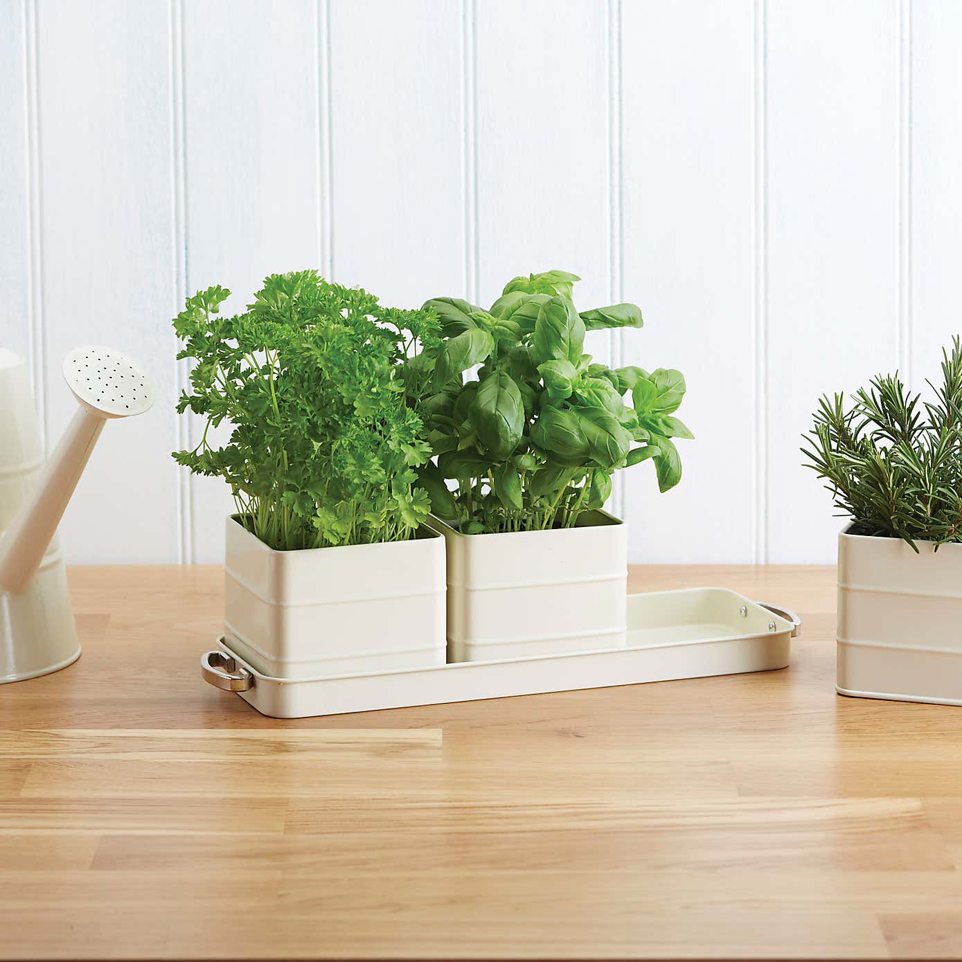 Indoor Herb Garden Kit with Tray and 3 Plant Pots