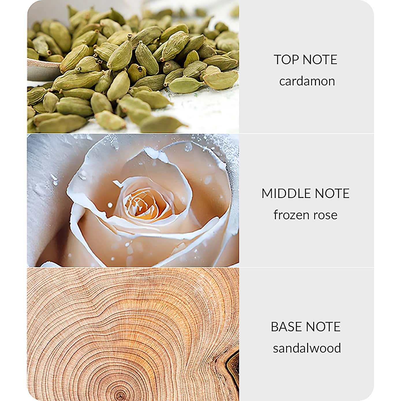 Heart and Home Bamboo Frozen Woodland Walk Diffuser