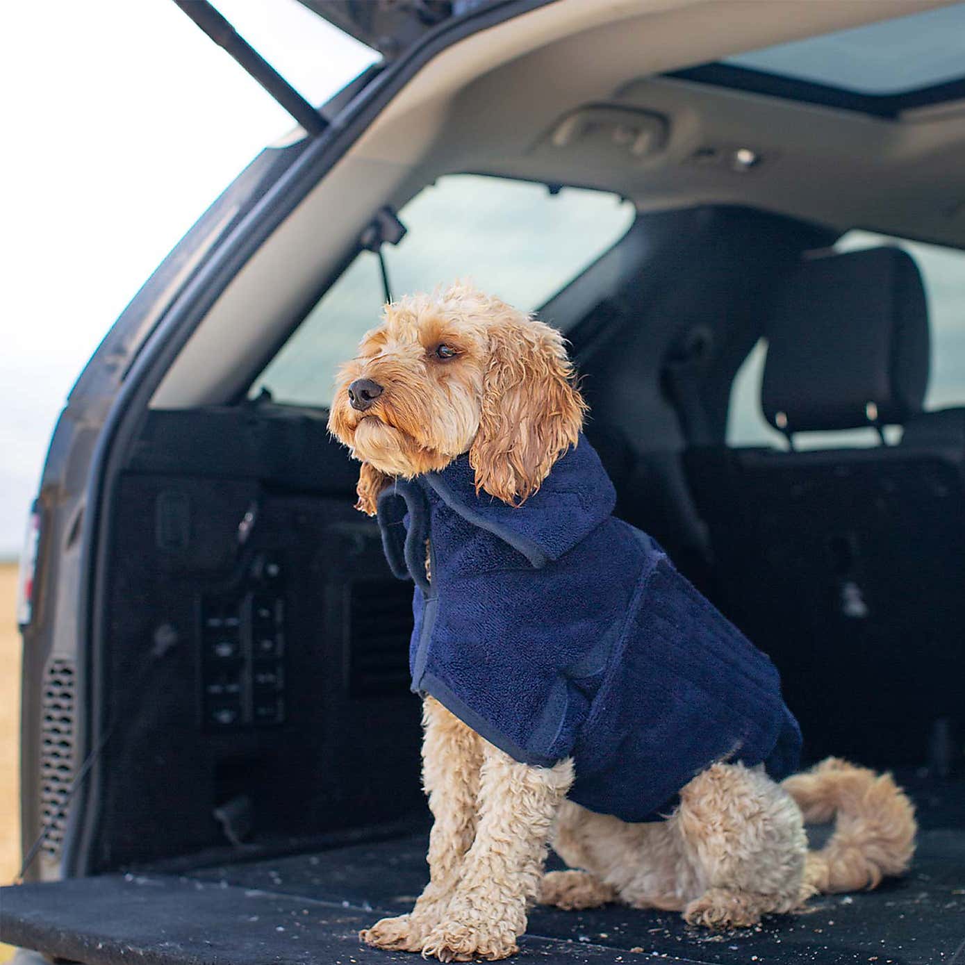 Lords and Labradors Bamboo Dog Drying Coat