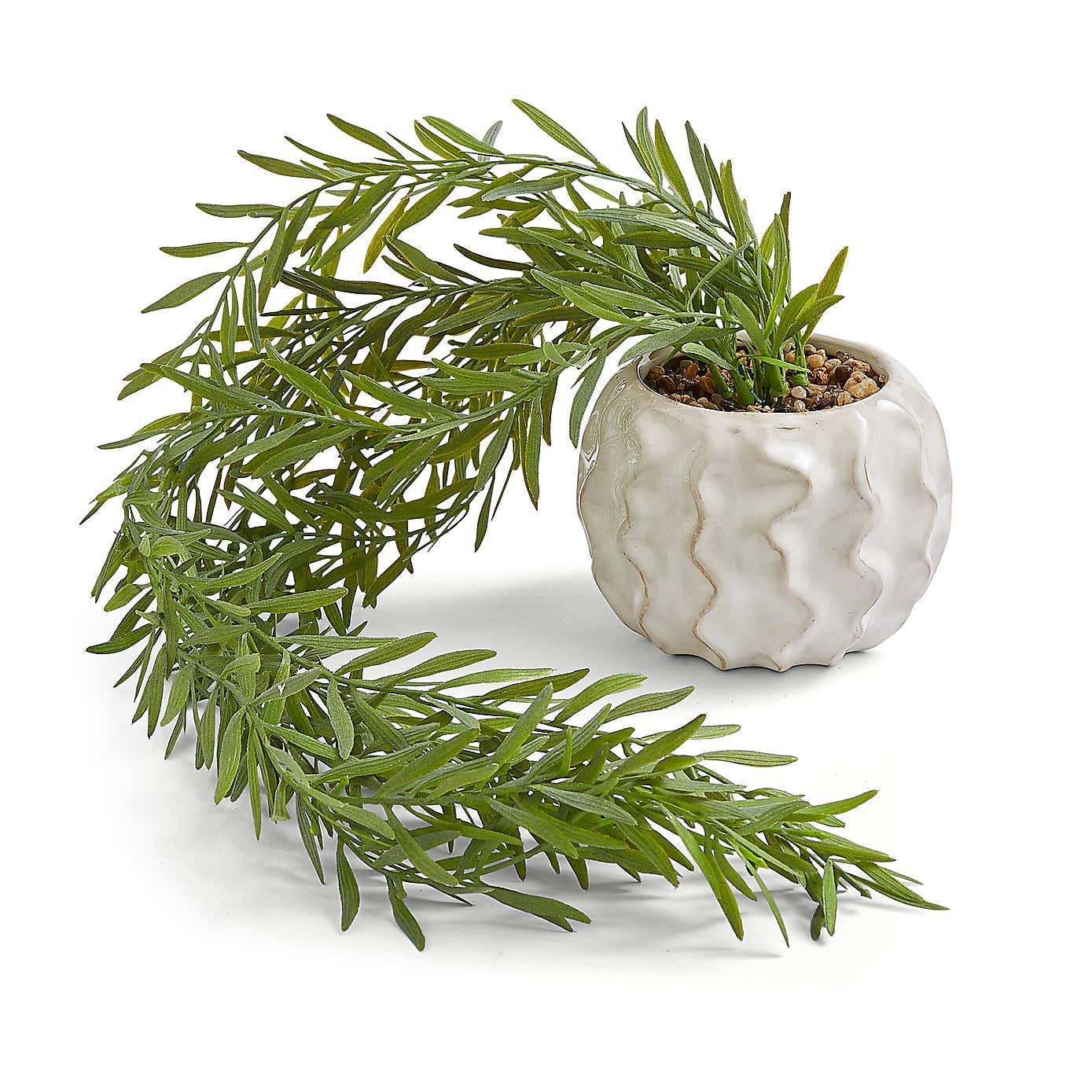 Oceanscape Trailing Plant in Organic Pot Ivory