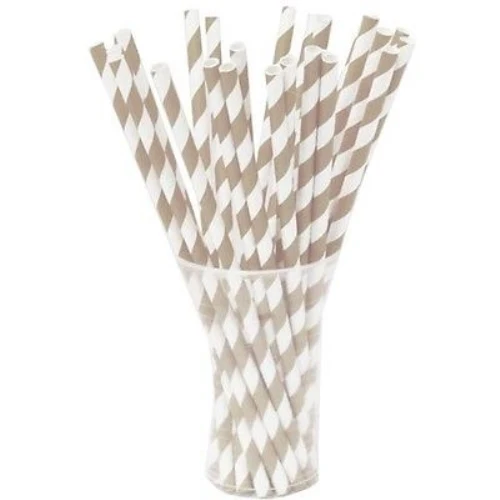 Silver Striped Paper Straws | 25 Count
