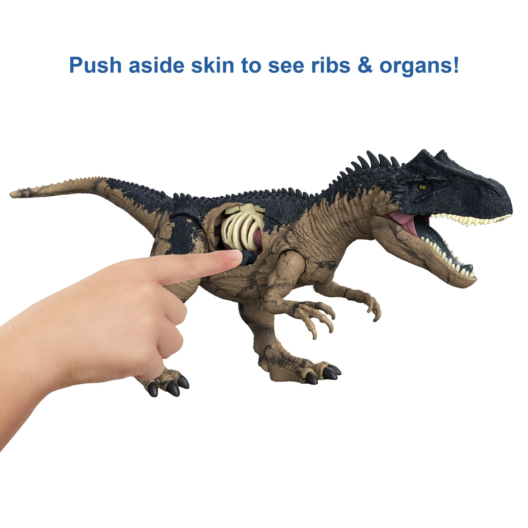 Jurassic World Extreme Damage Roarin�� Allosaurus Dinosaur Toy For 4 Year Olds & Up