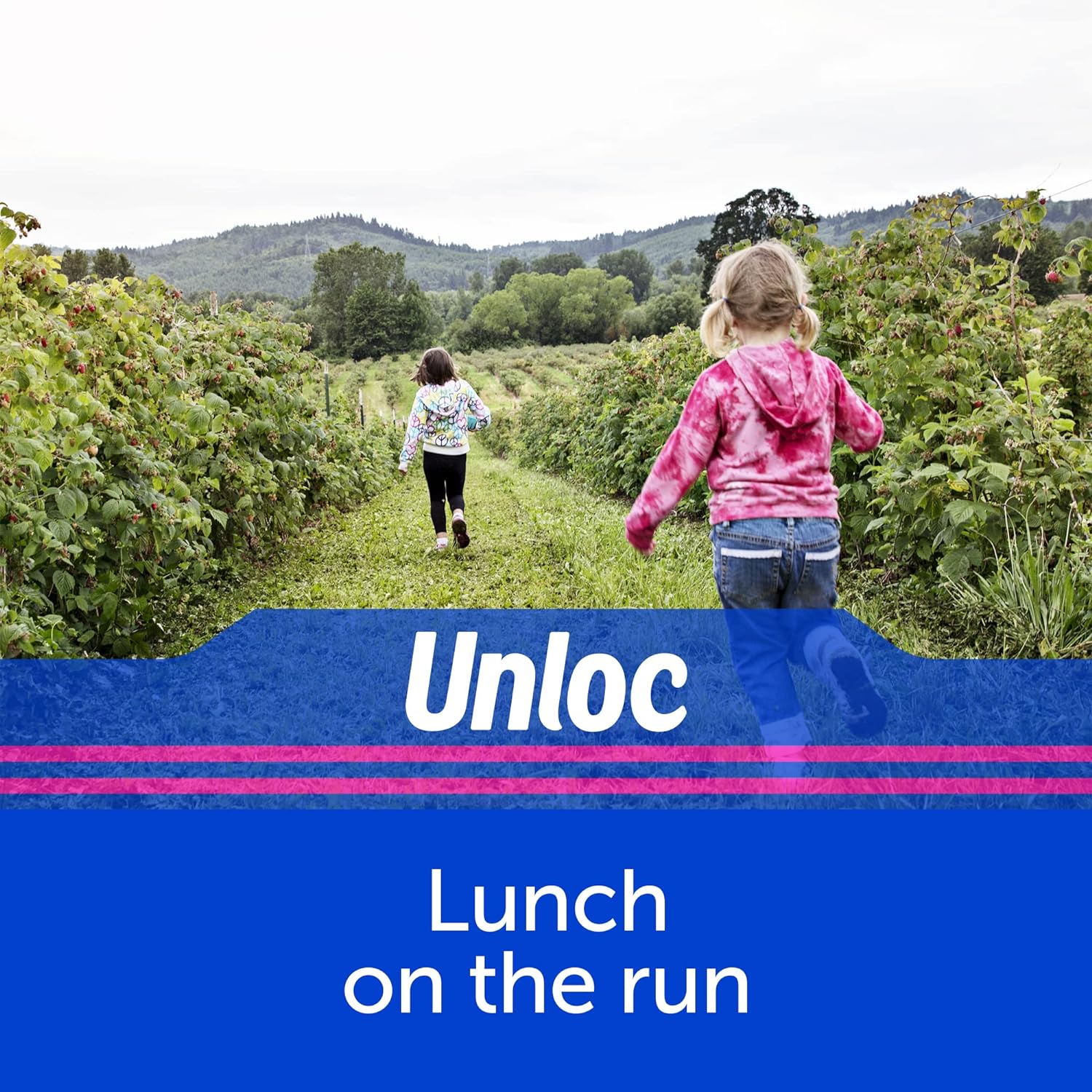 Ziploc Sandwich Bags, Easy Open Tabs, 90 Count, Clear