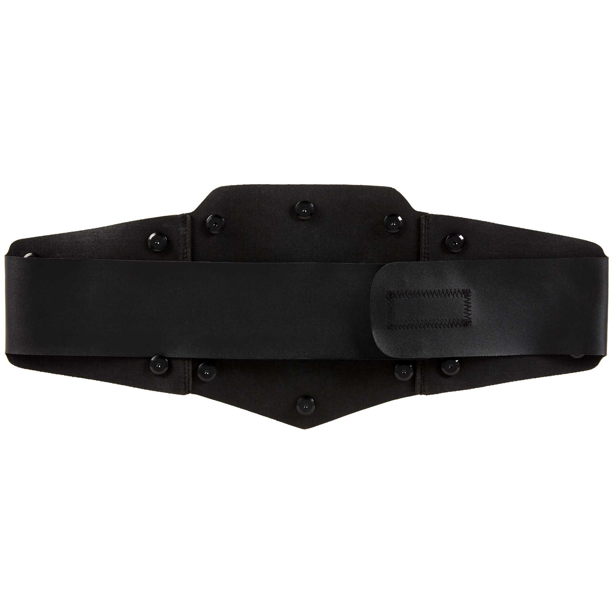 WWE Championship Role Play Title