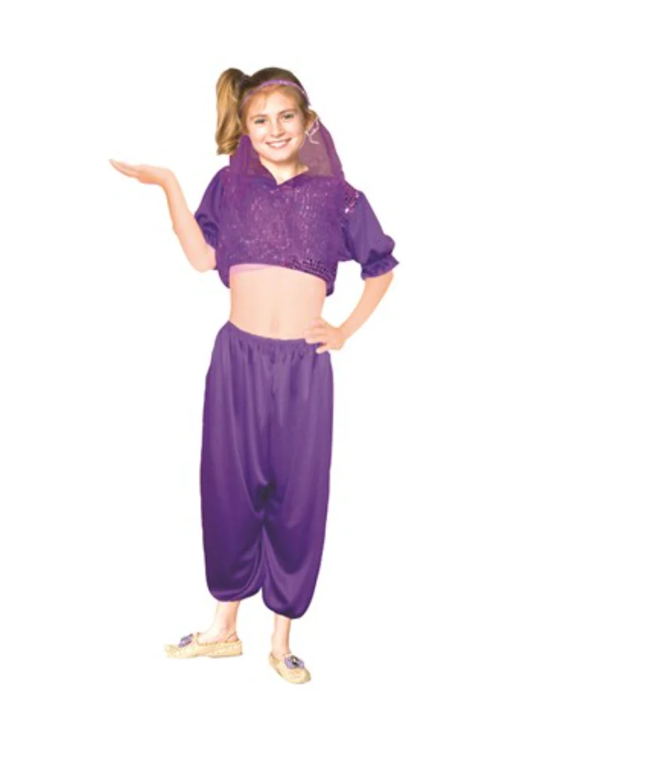 Harem Girl Costume