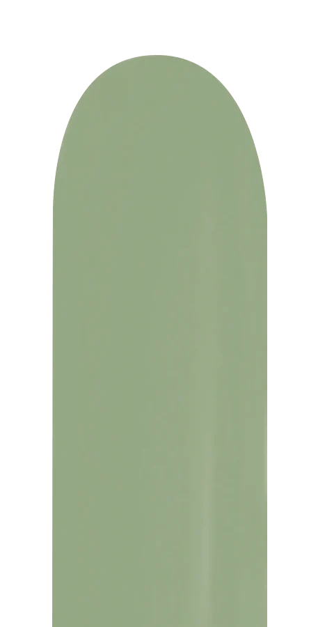 260 Sempertex Deluxe Eucalyptus Latex Balloon 50ct