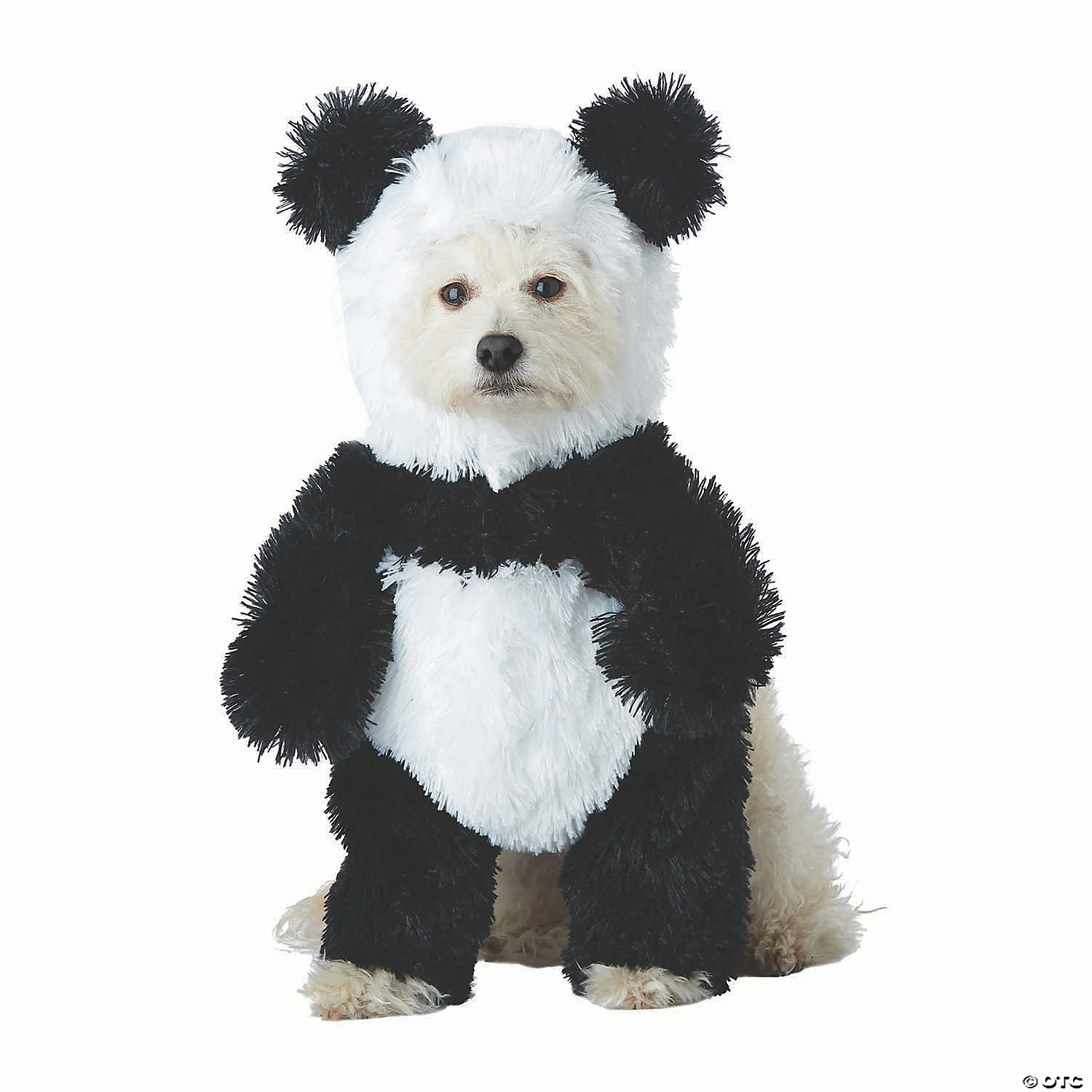 Panda Pooch Parade: Dog Costume ????