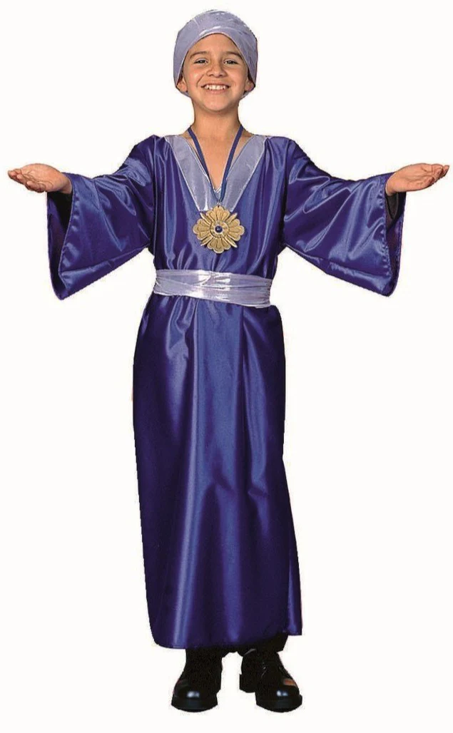 Wiseman Costume Blue (Child)