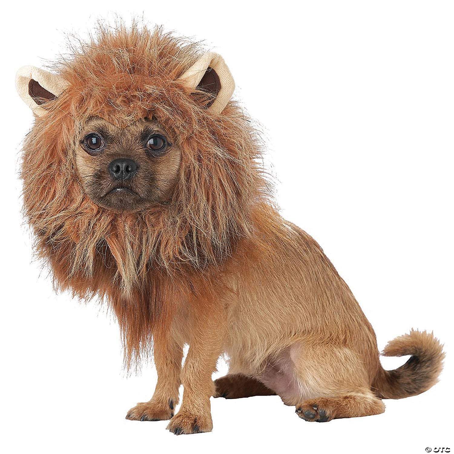 Regal Roar: Lion Mane Dog Costume ????