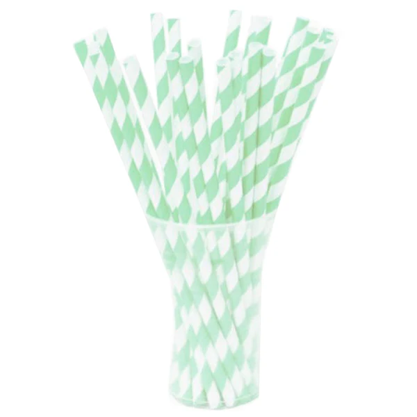 Mint Striped Paper Straws | 25 Count
