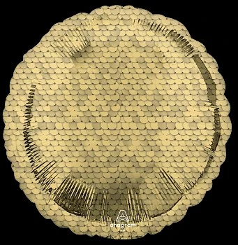 Anagram 18 inch Glitter Gold Sequins Foil Balloon