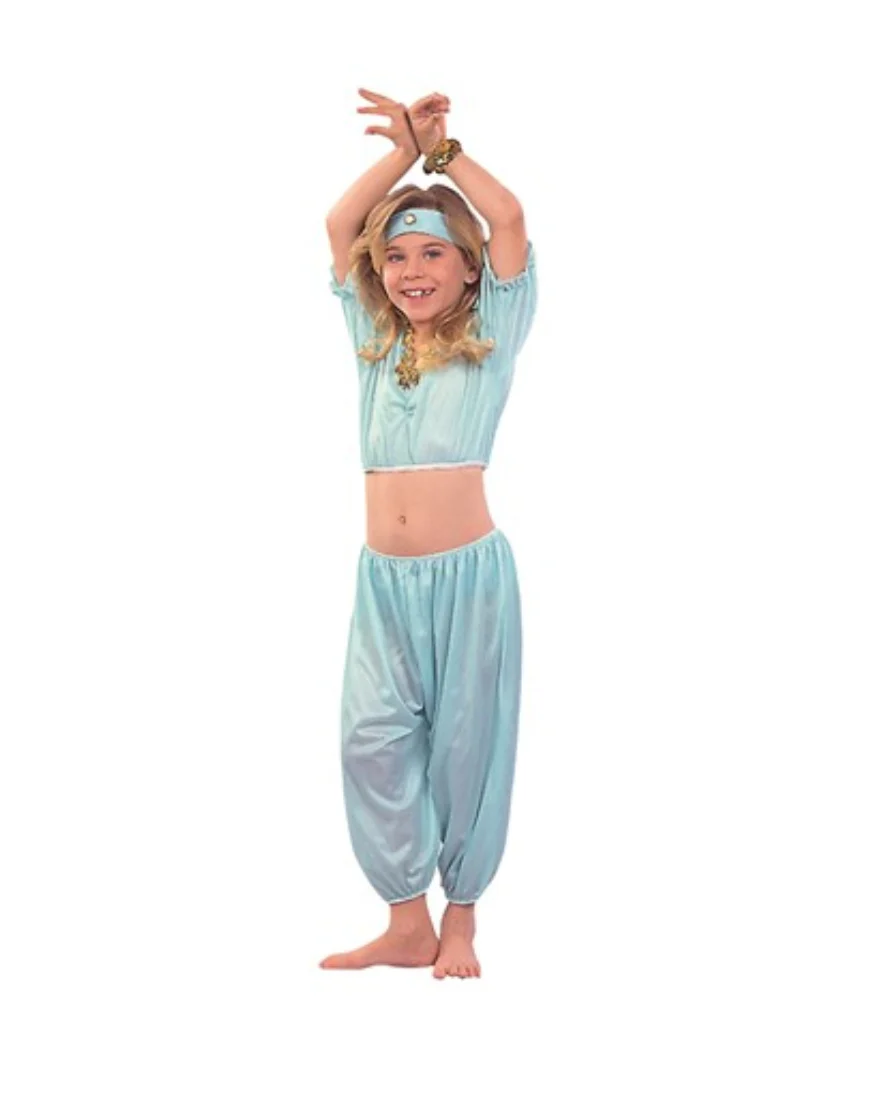 Harem Aladdin Girl Costume