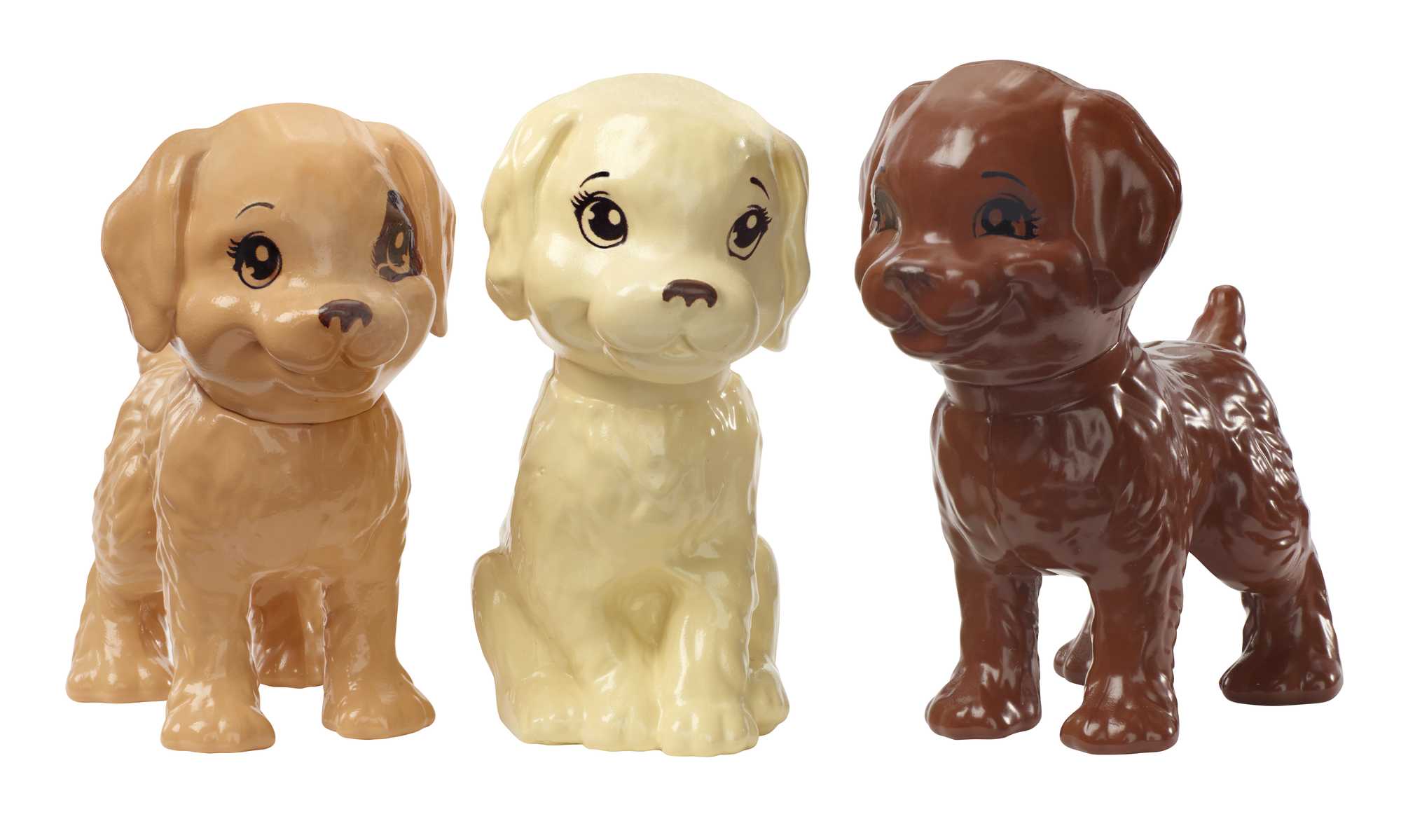 Barbie Doll & Accessories