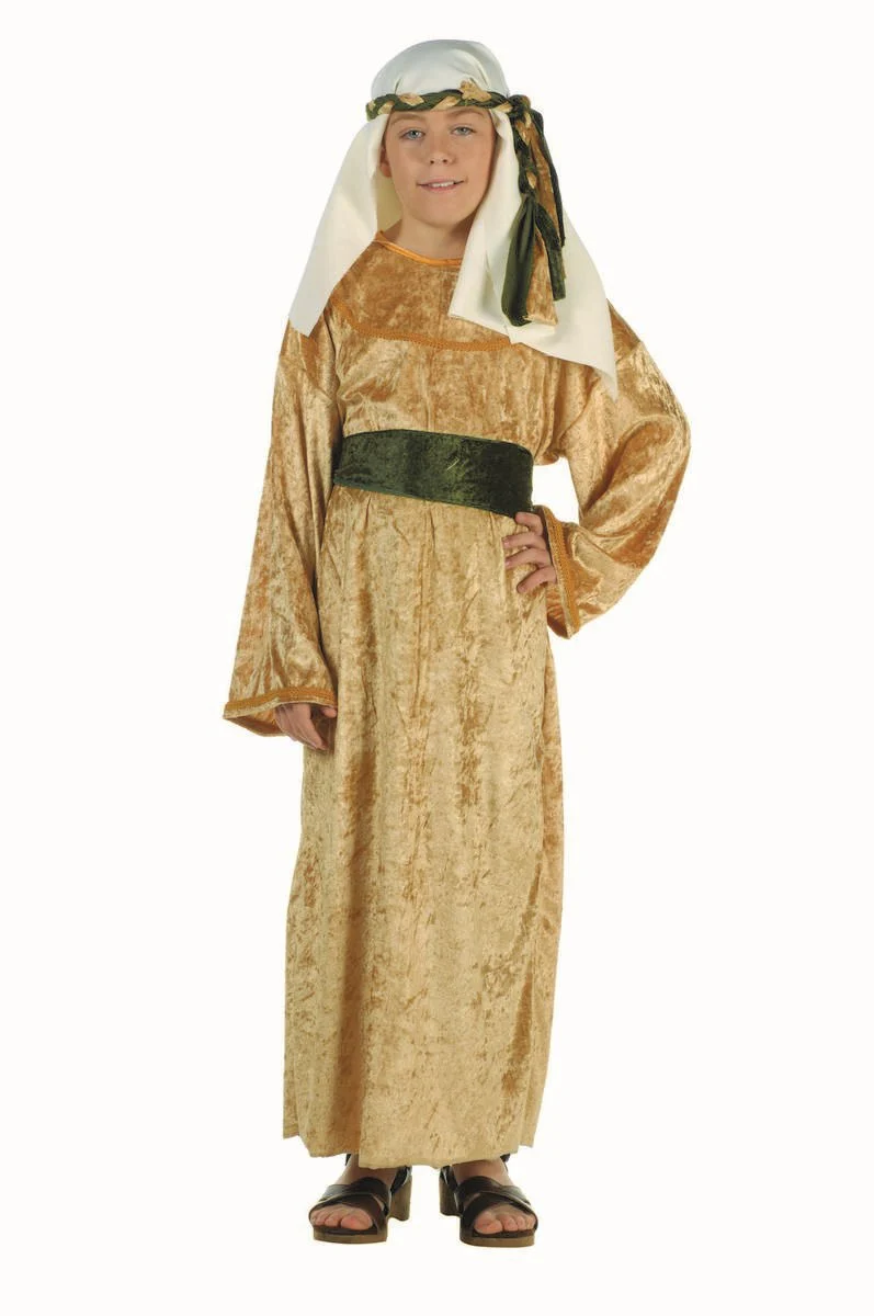 Wiseman Gold Shepherd Costume