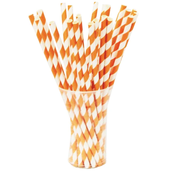 Orange Striped Paper Straws | 25 Count