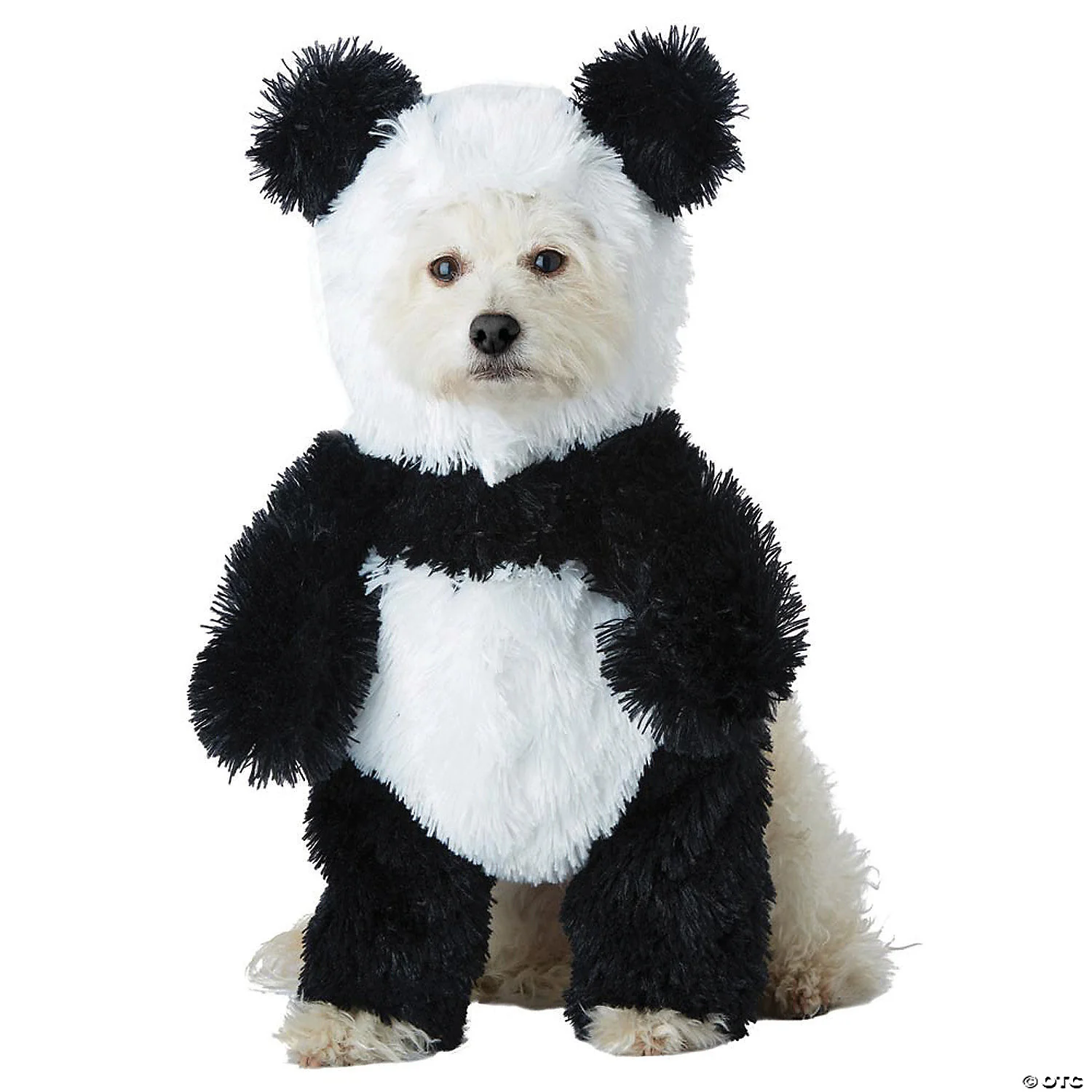 Panda Pooch Parade: Dog Costume ????