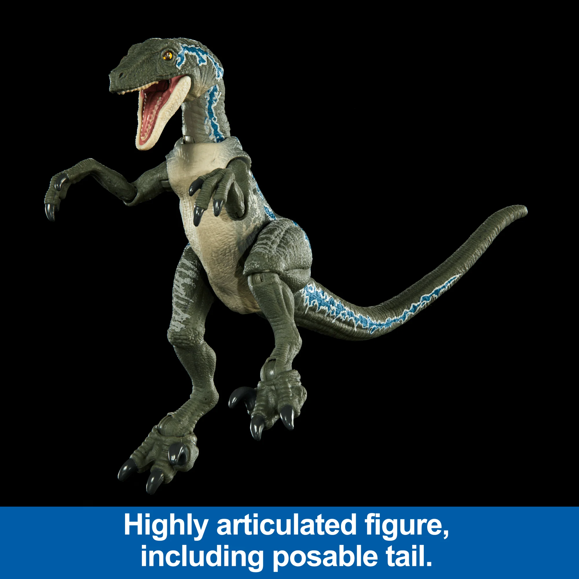 Jurassic World Hammond Collection Velociraptor Blue Dinosaur Figure Collectible Toy