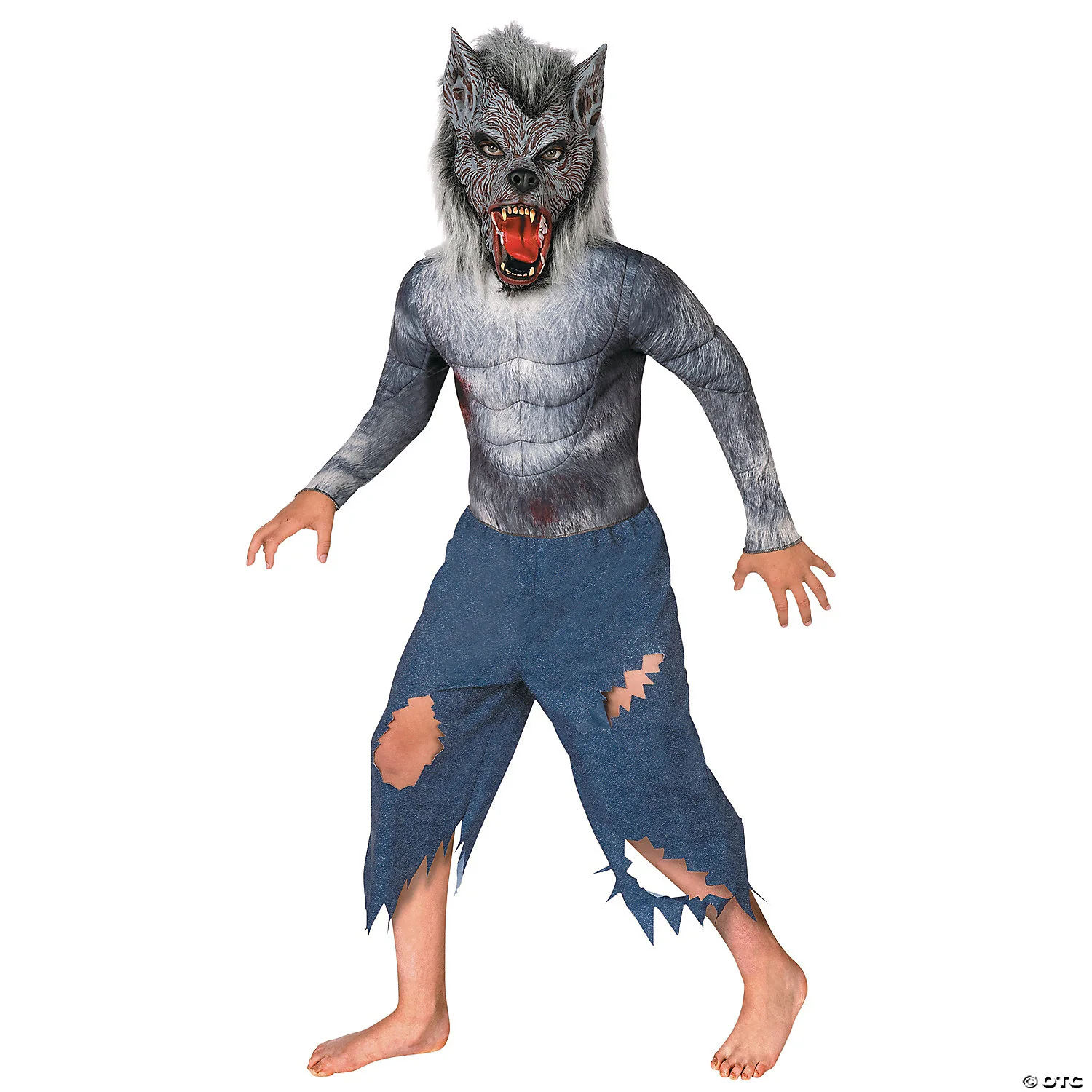 Boy's Werewolf Costume