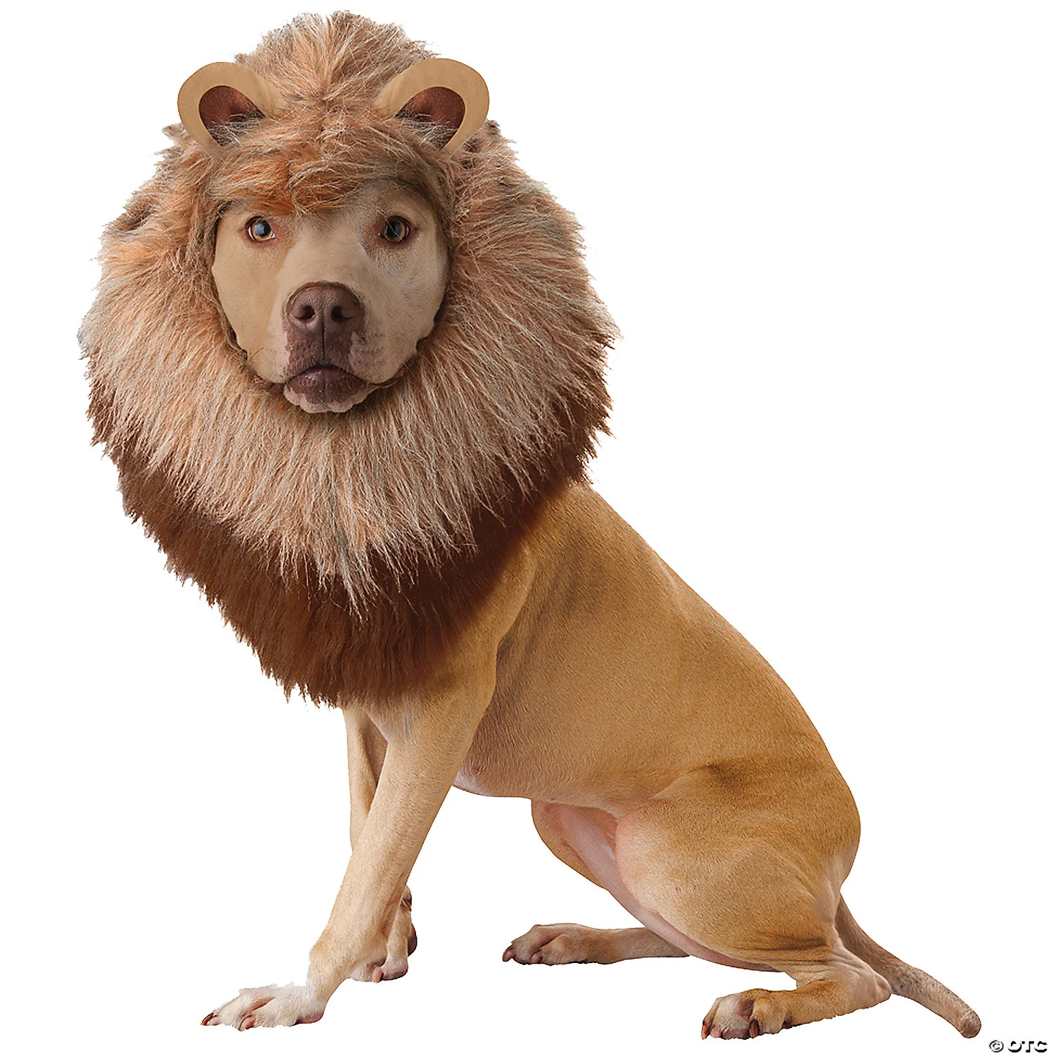 Animal Planet Lion Dog Costume