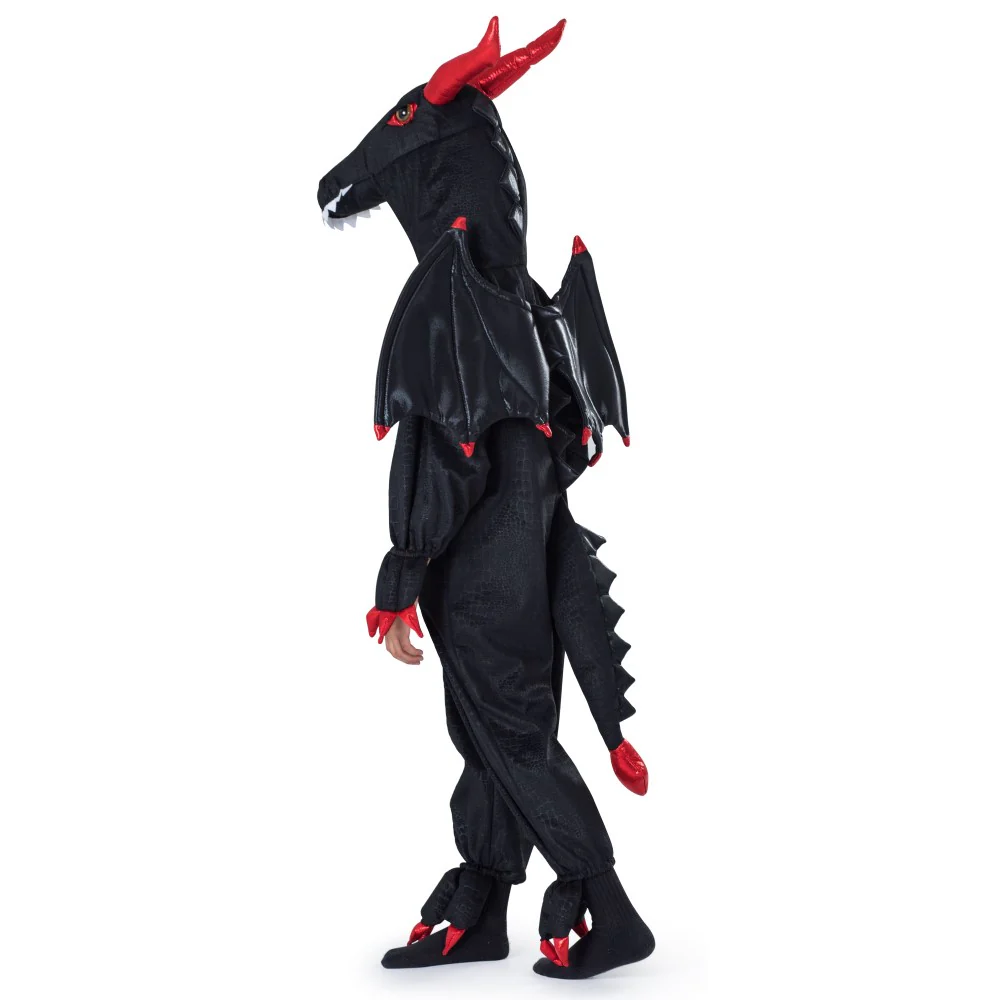 Dragon Costume