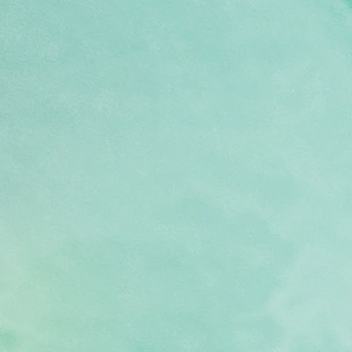 Mint/Gold Petal Plates - Combo Pack 40/40