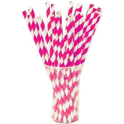 Hot Pink Striped Paper Straws | 25 Count
