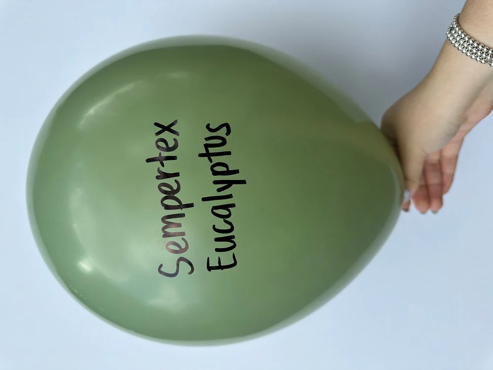 18 inch Sempertex Deluxe Eucalyptus Latex Balloons 25ct