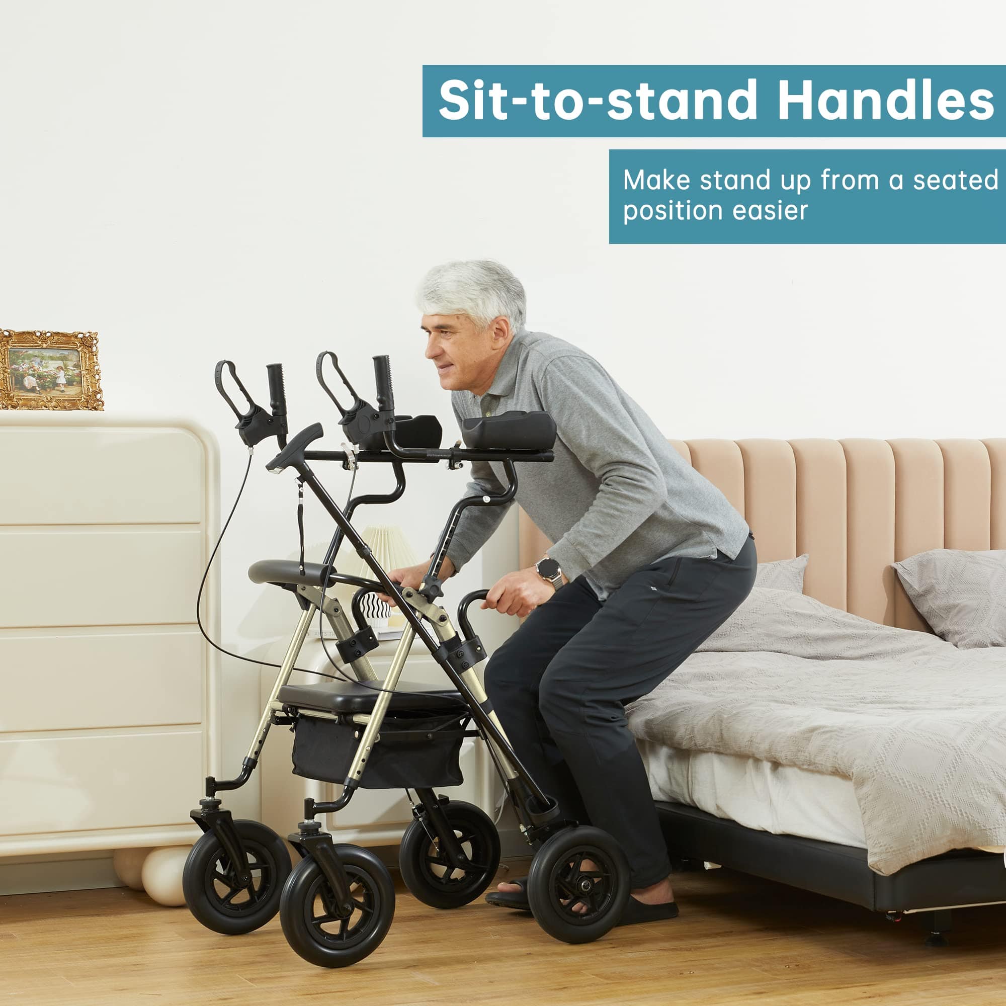 HFK-9236T4 All Terrain Dual-Brake Upright Walker 10