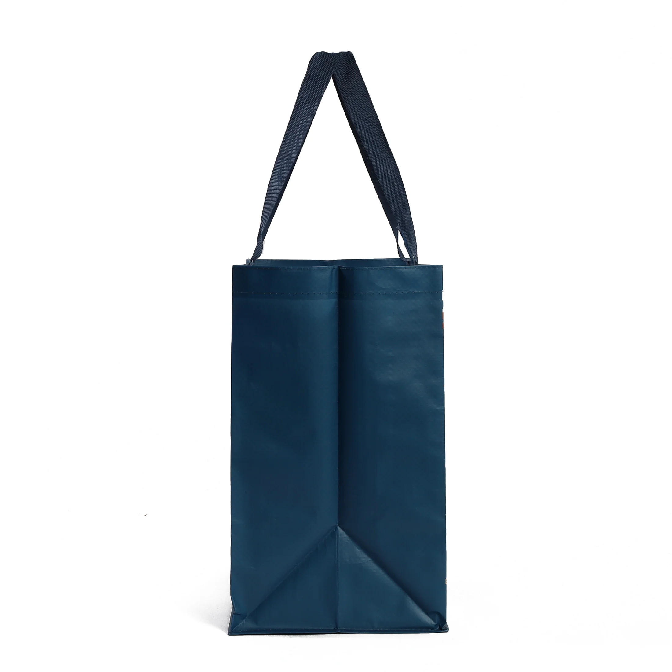 Everyday Medium Tote in Winter Wishes