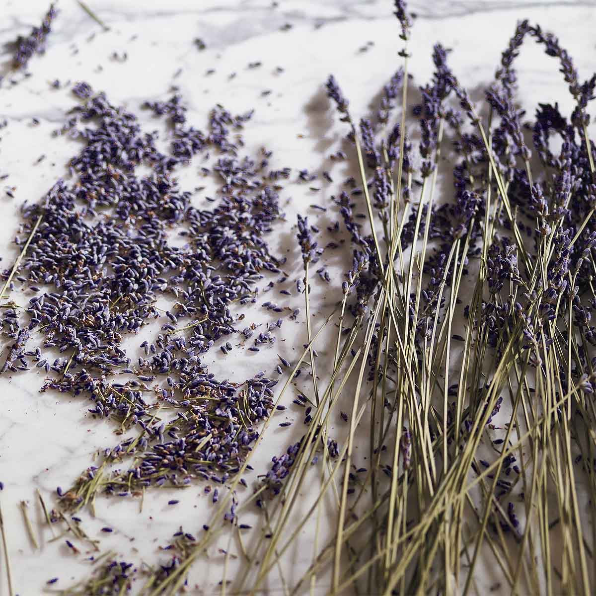 Verbena & Lavender Hand Cream - 25ml