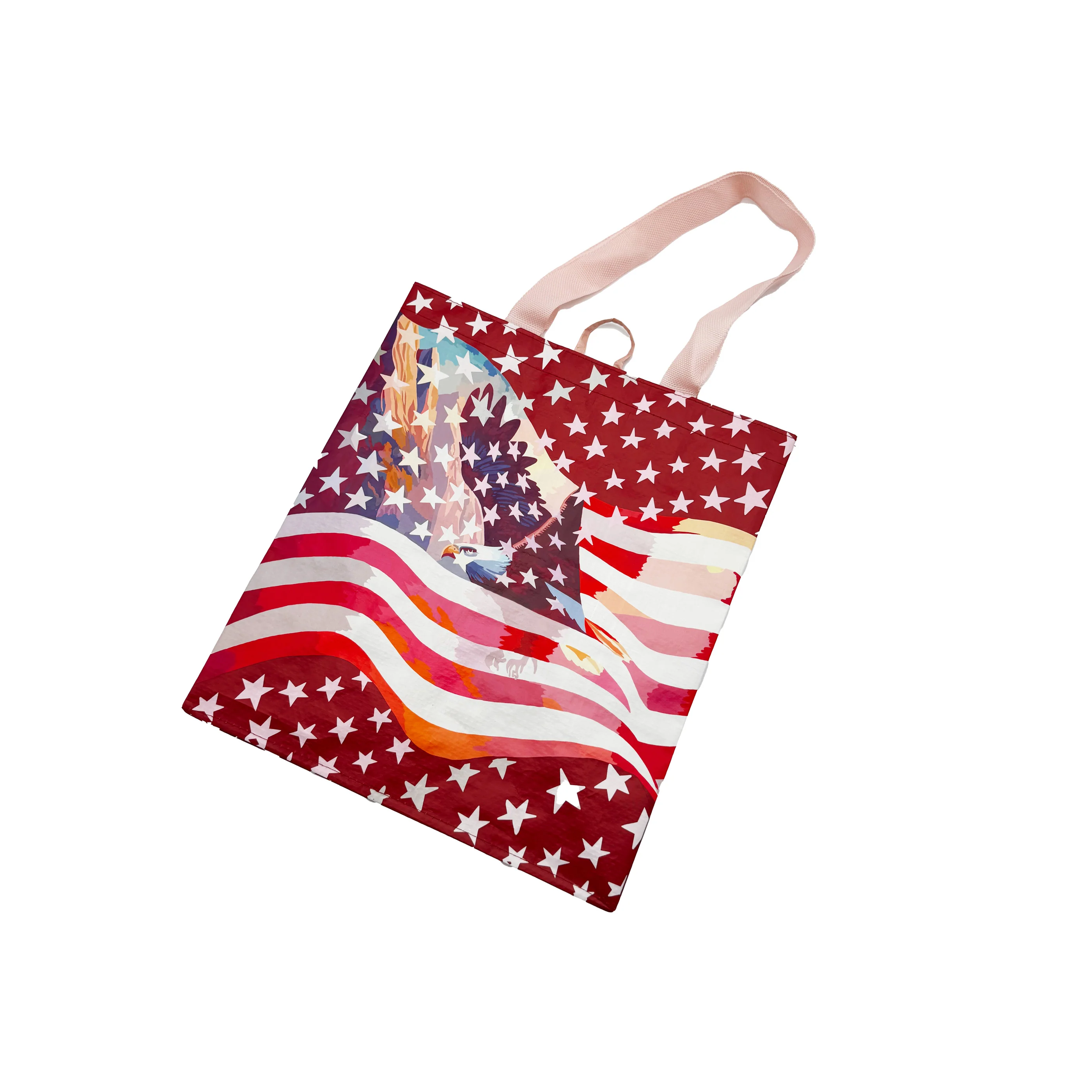 Everyday Medium Tote in Soaring Eagle