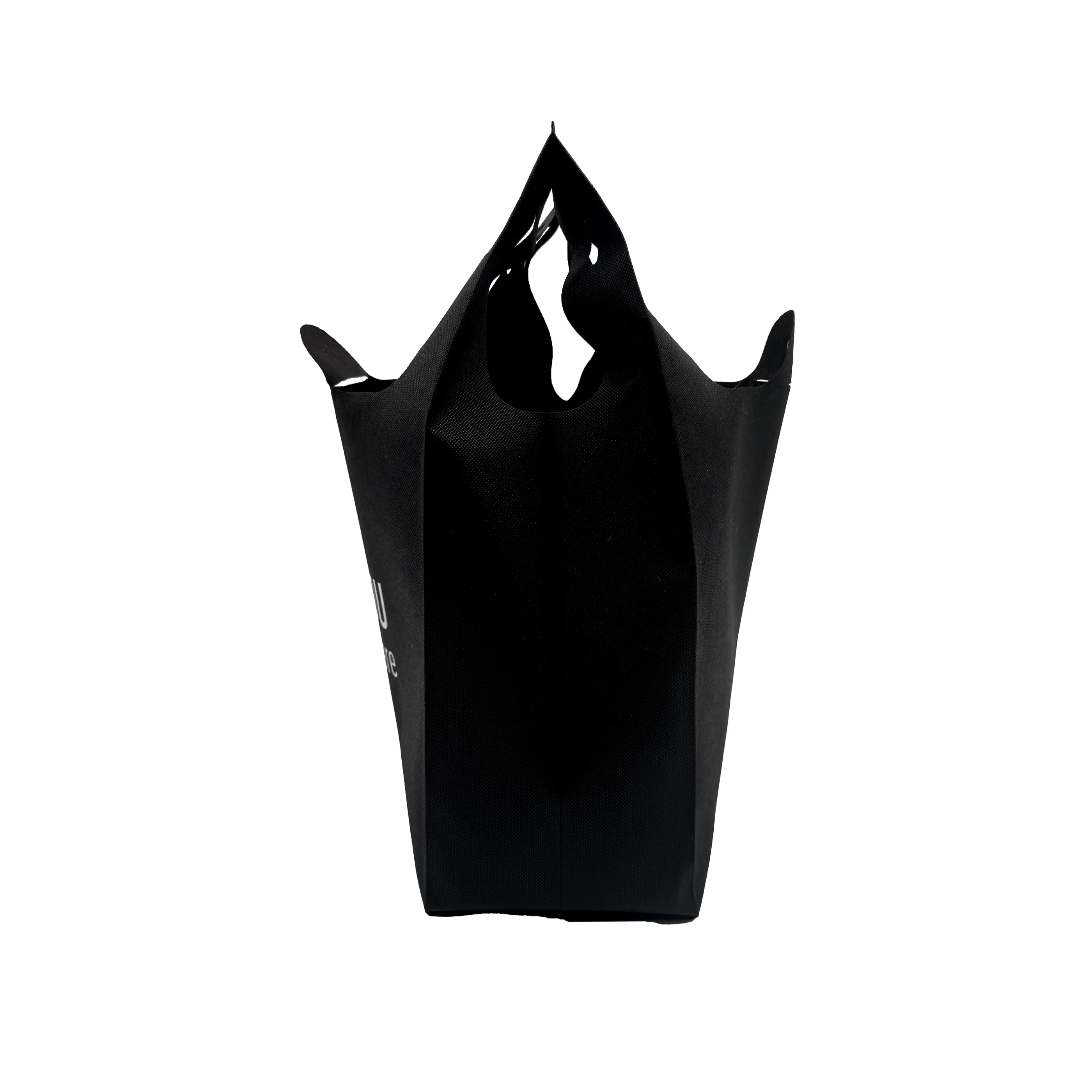 Everyday Bag in Thank You For Shopping Here