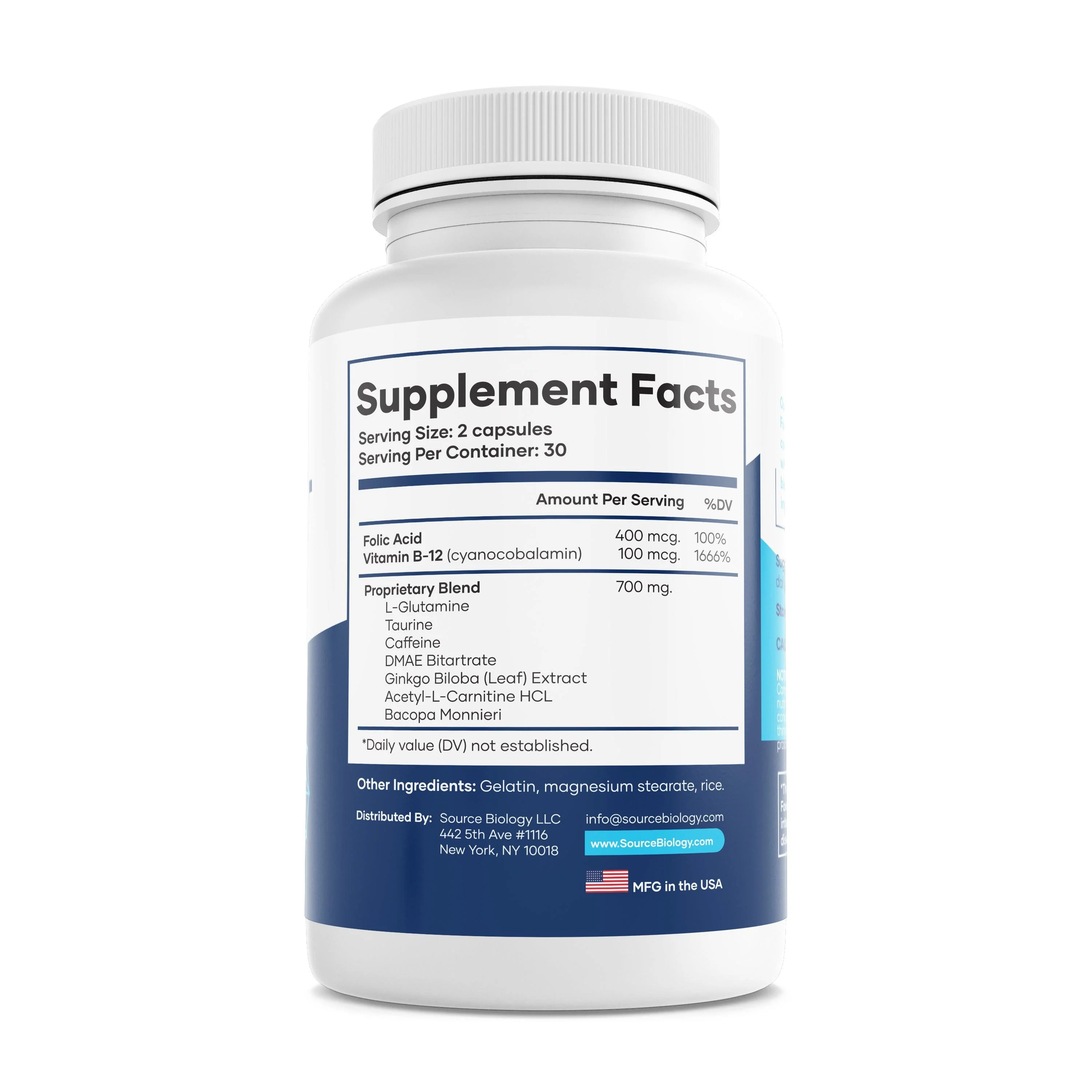 Brain Boost with Ginkgo Biloba and Vitamin B12