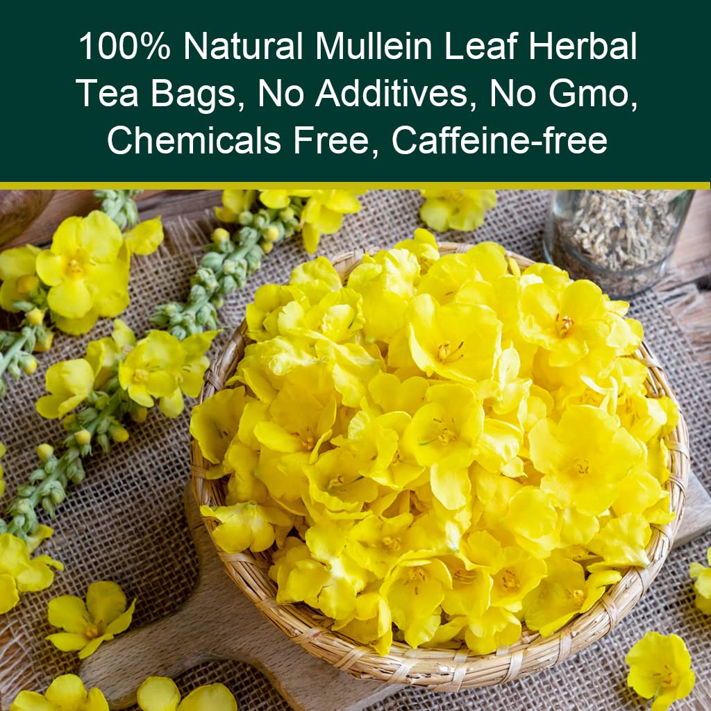 Mullein Leaf Tea for Lungs Cleanse and Immune Support, 100% Natural, Caffeine Free, 40 Tea Bags