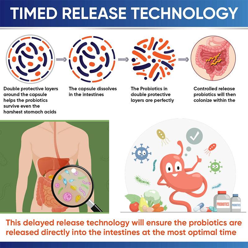 Probiotic Capsules with Prebiotics & Digestive Enzymes