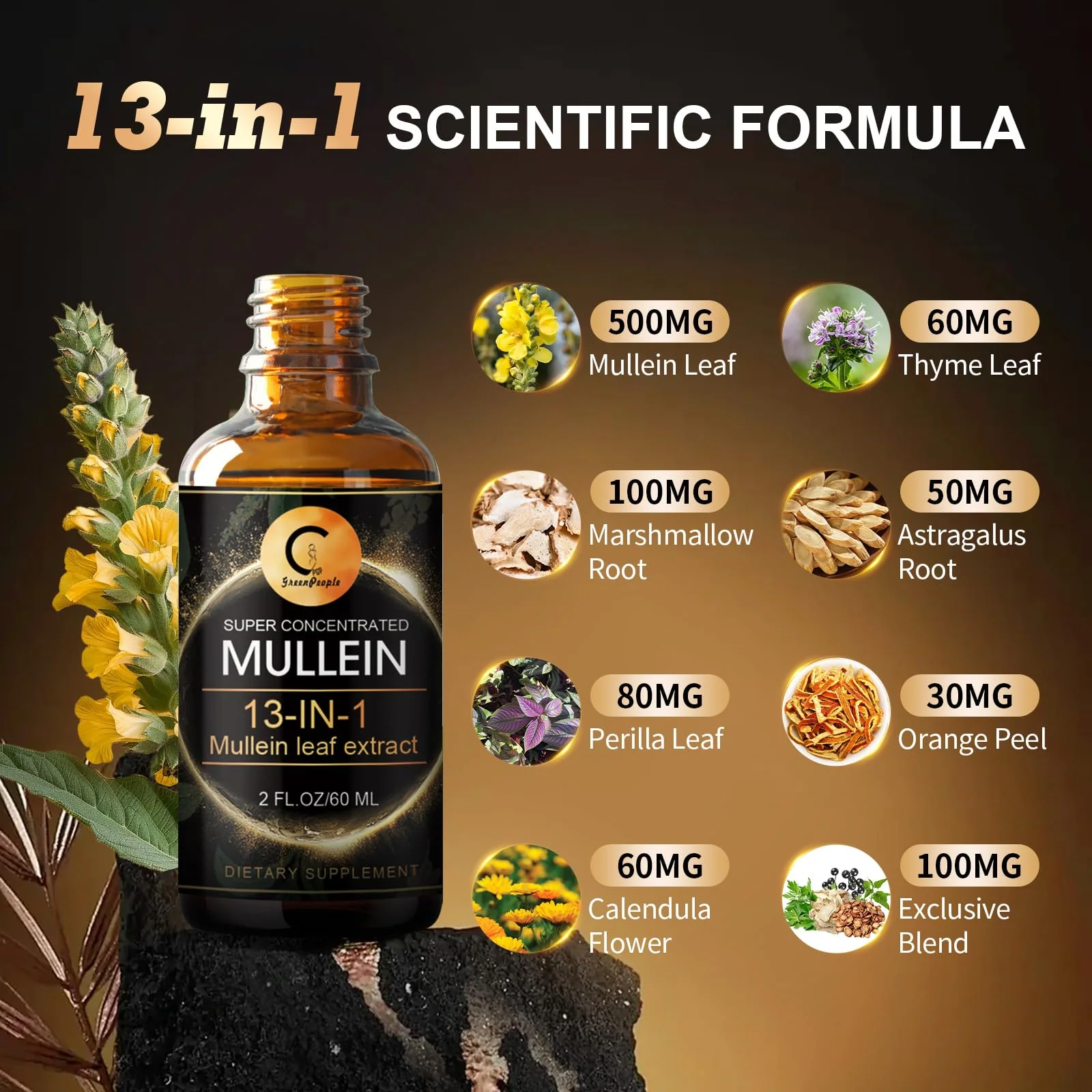 Mullein drops for Lung, Mullein Leaf Extract for Lung Cleanse & Detox, Super Concentrated Mullein Liquid Tincture for Respiratory Health, Immune & Digestive System,Vegan, Non-GMO, 2 FL OZ