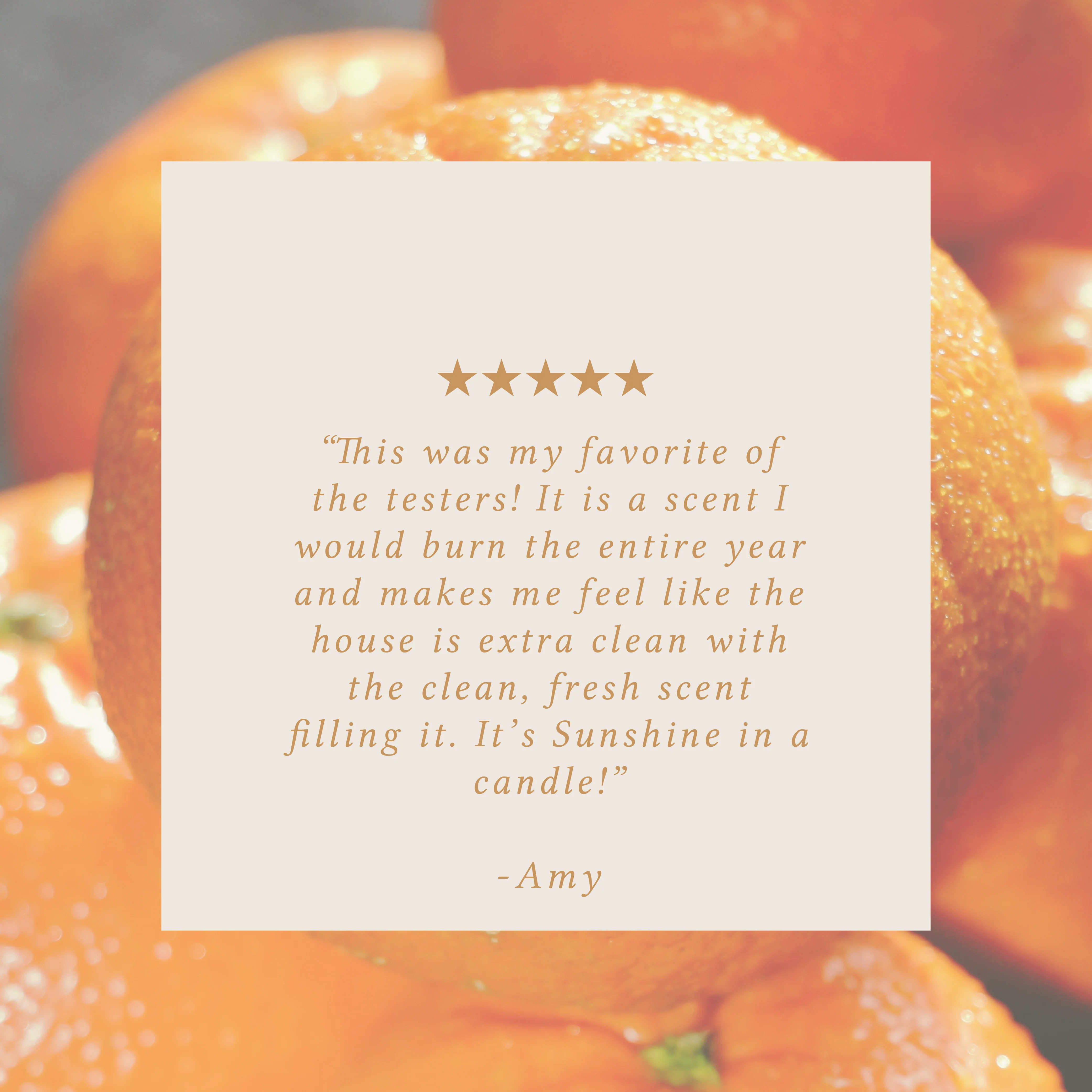 Sun-Kissed Citrus 16 oz candle