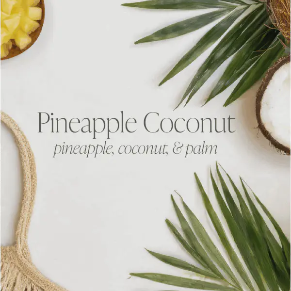 Sun-Kissed Citrus & Pineapple Coconut Bundle