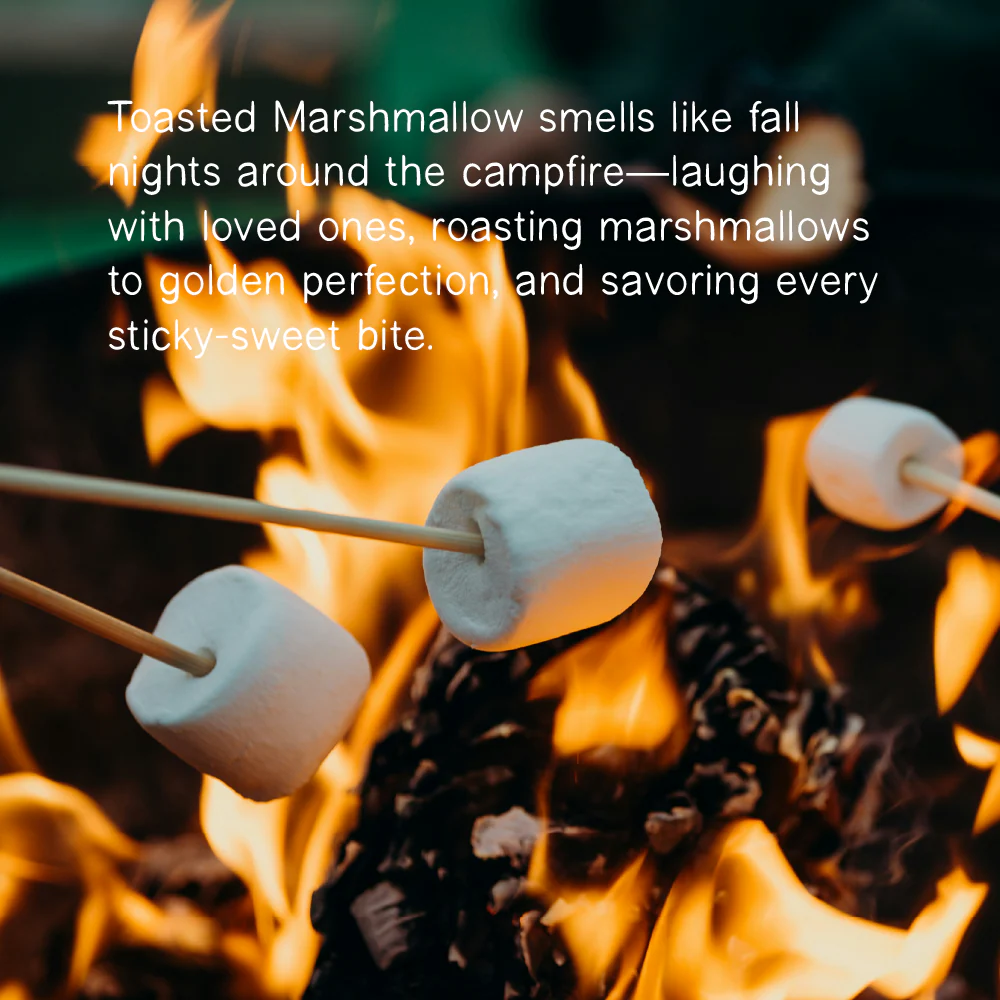 Toasted Marshmallow 16 oz candle