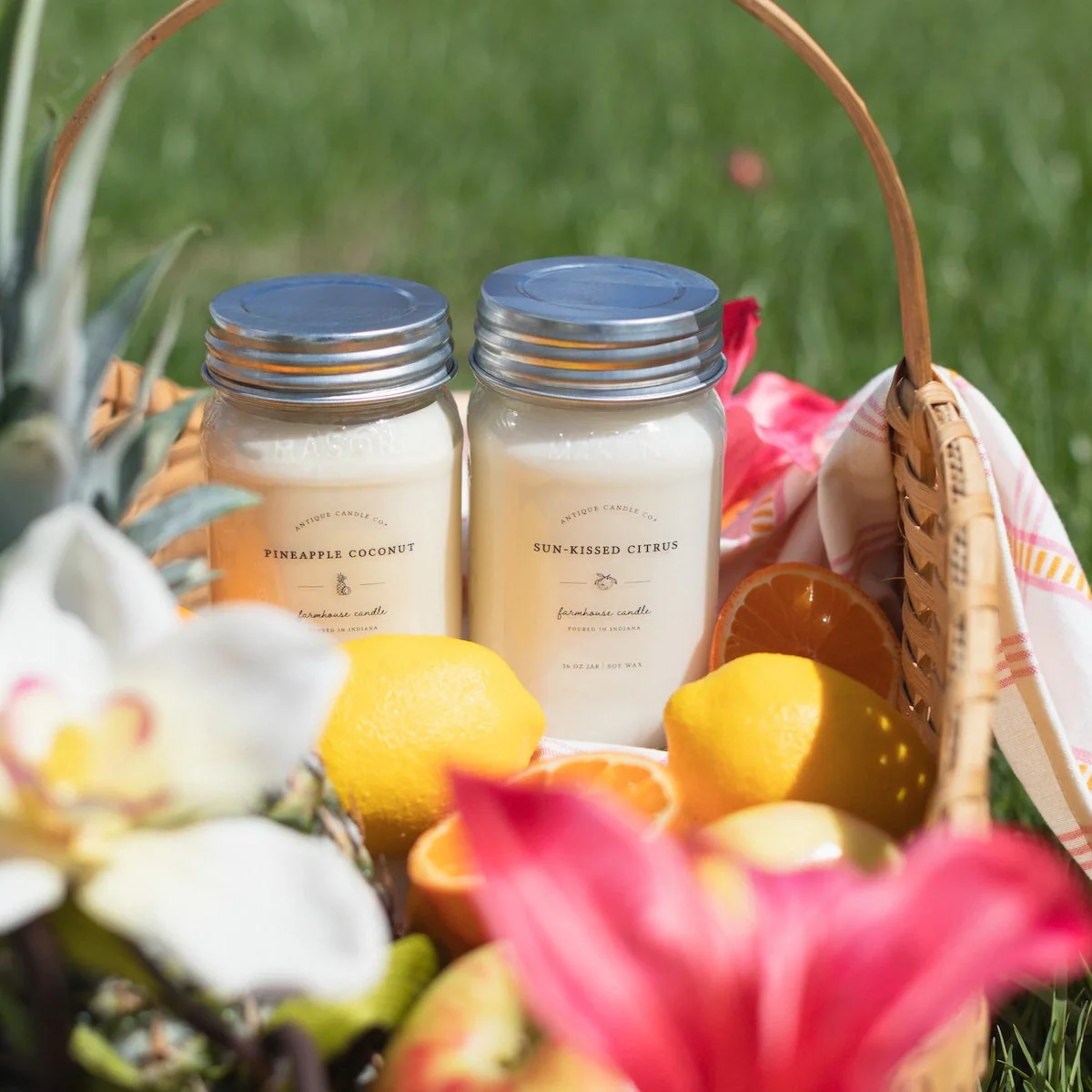 Sun-Kissed Citrus & Pineapple Coconut Bundle