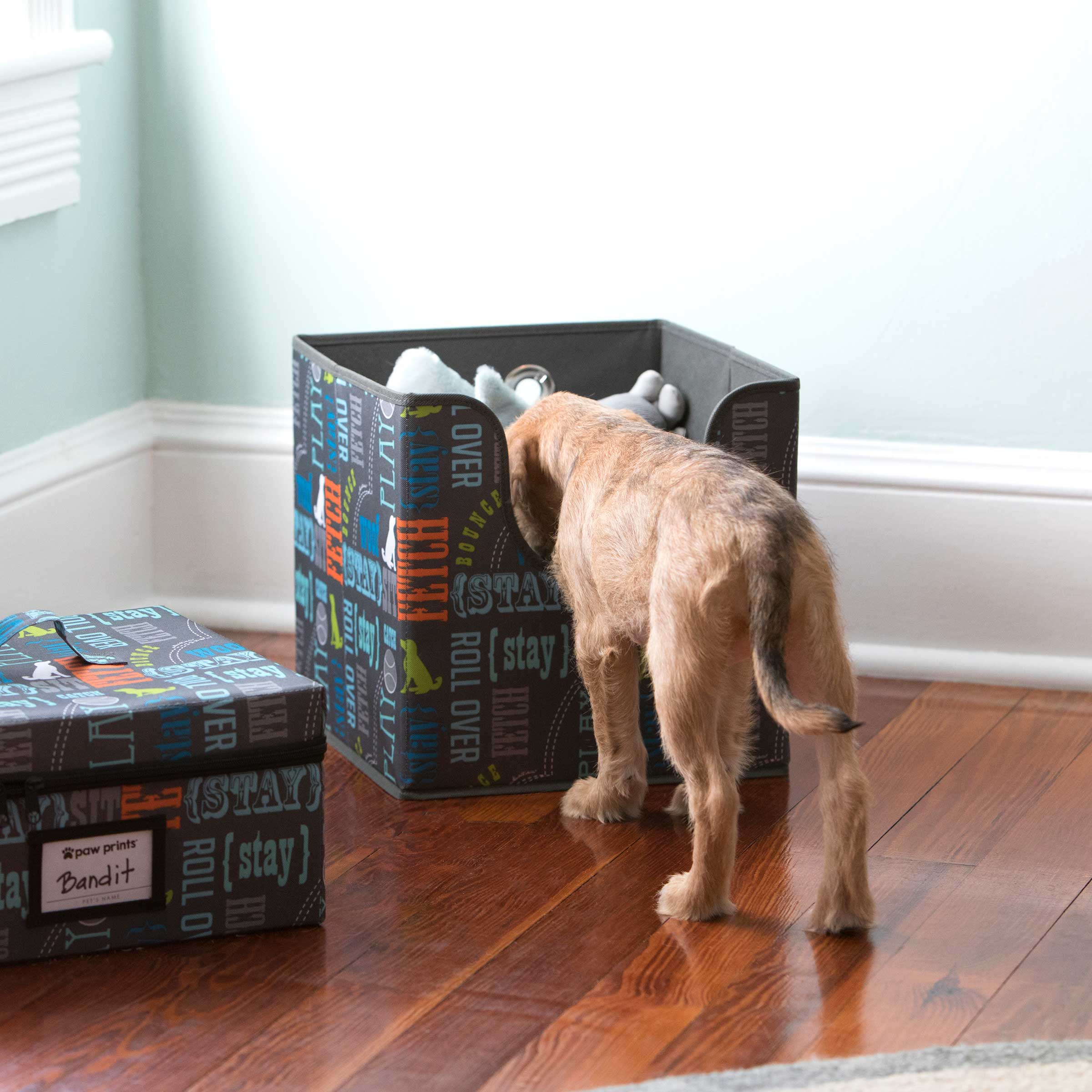 Easy-Access Toy Bin, Wordplay by Macbeth Collection