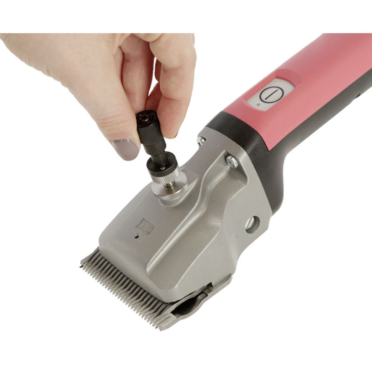 Aesculap Grooming Bag + Drehmomentschl??ssel