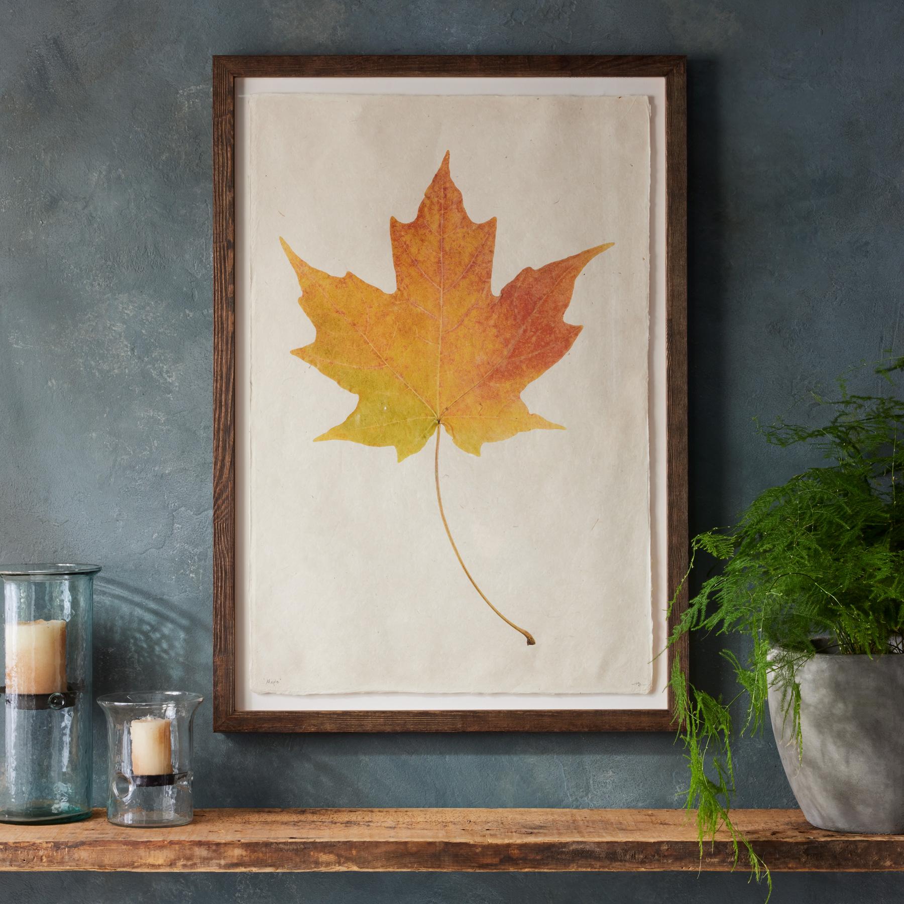 sundance-Leaf Studies Print-Sundance Outlet