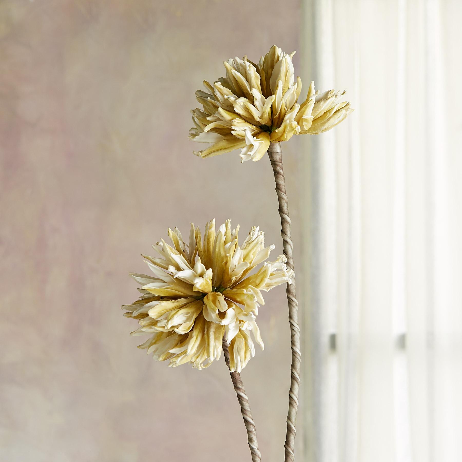 sundance-Bountiful Botanicals-Sundance Outlet