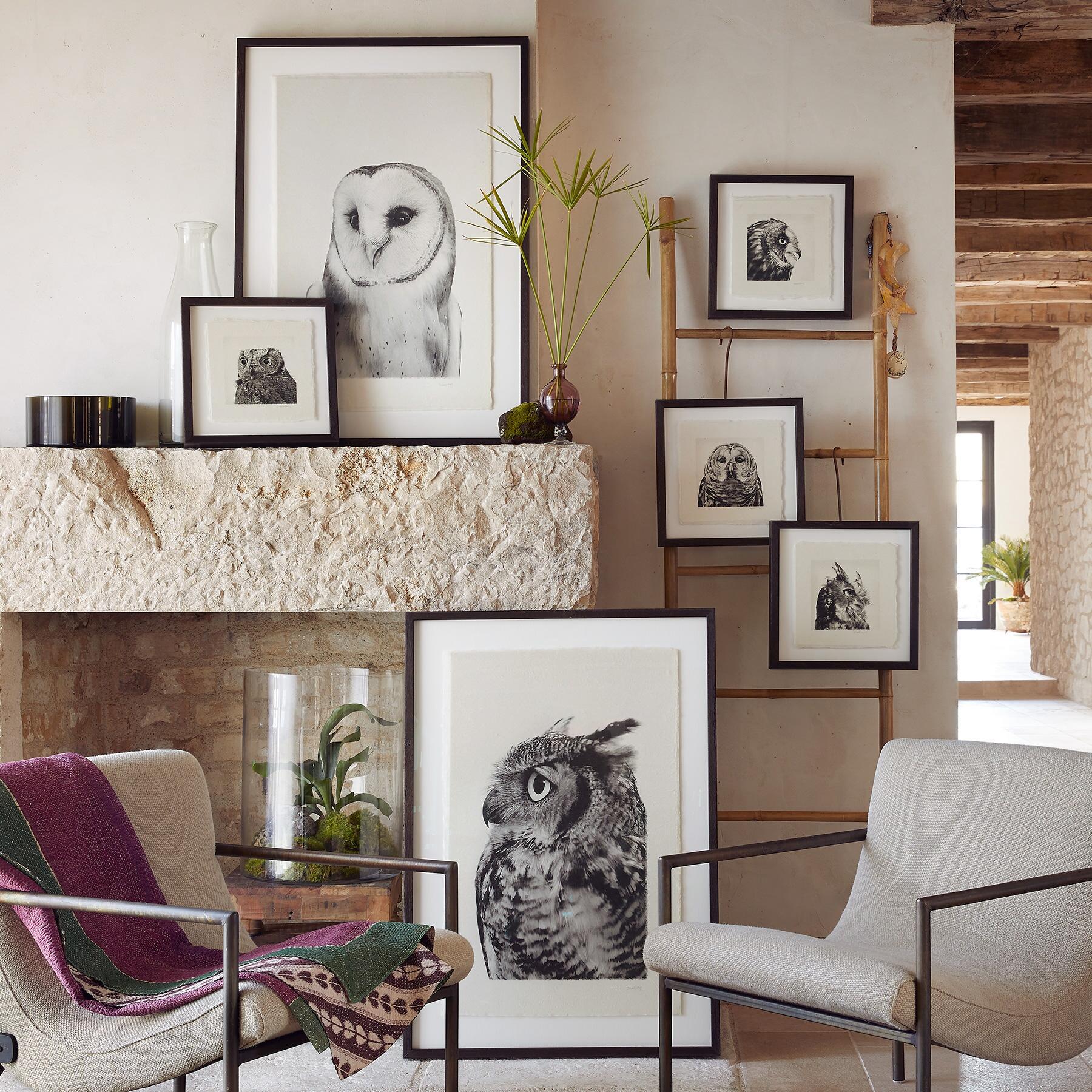 sundance-Owl Prints-Sundance Outlet