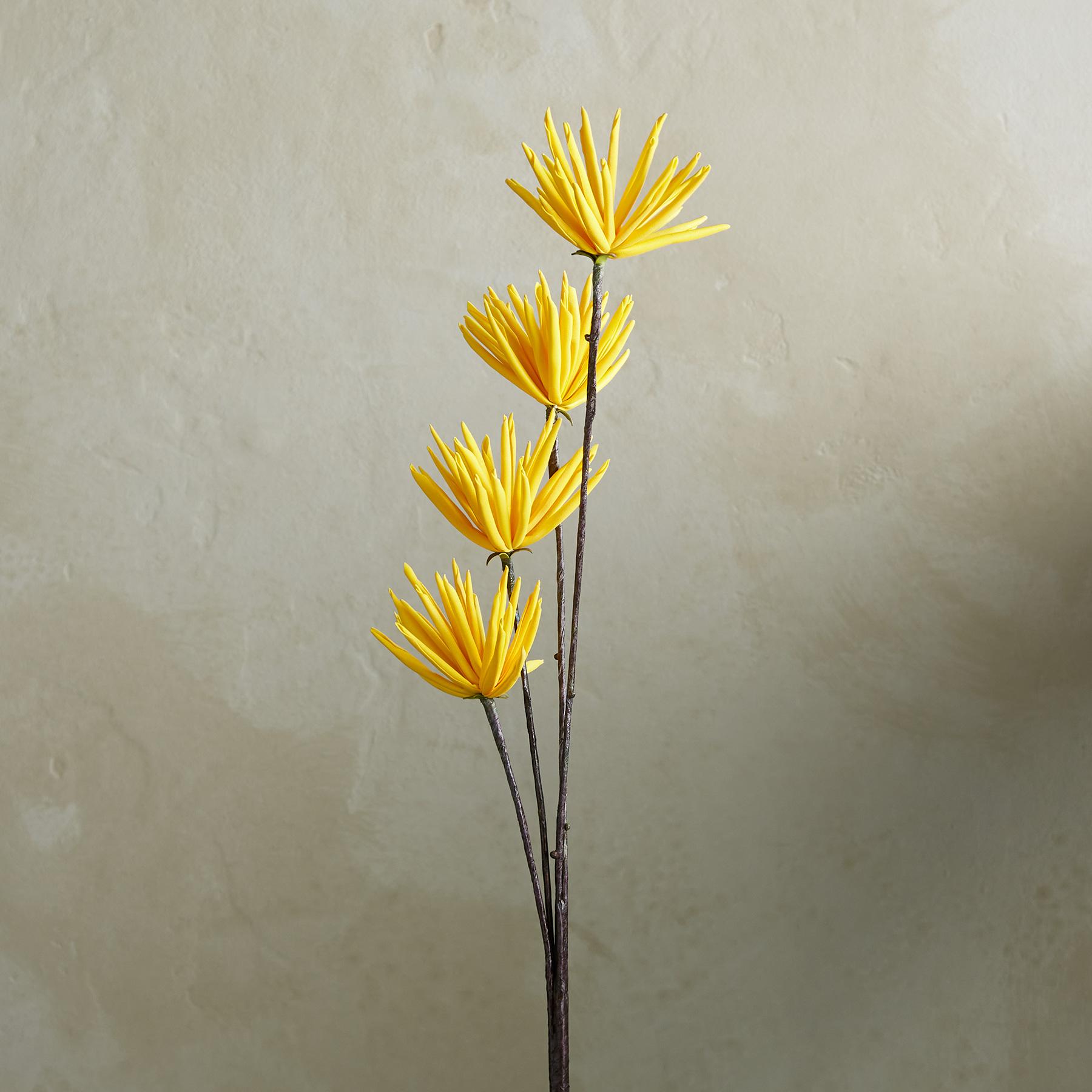 sundance-Bountiful Botanicals-Sundance Outlet