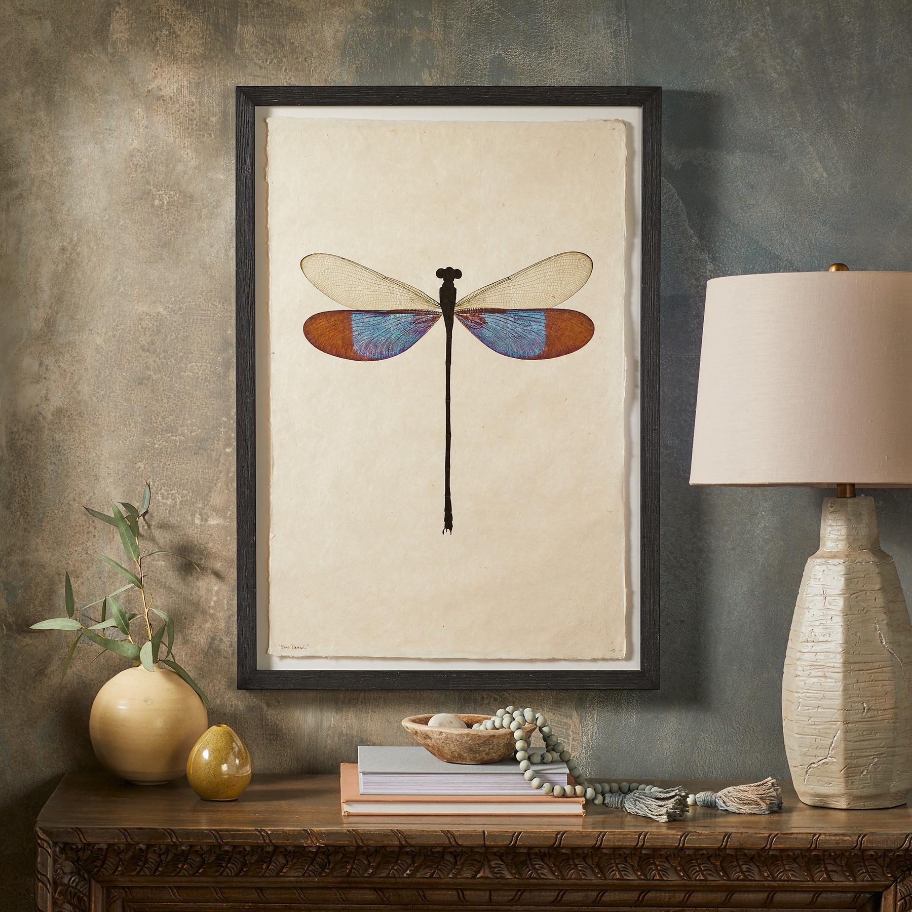 sundance-Dragonfly Studies Prints-Sundance Outlet