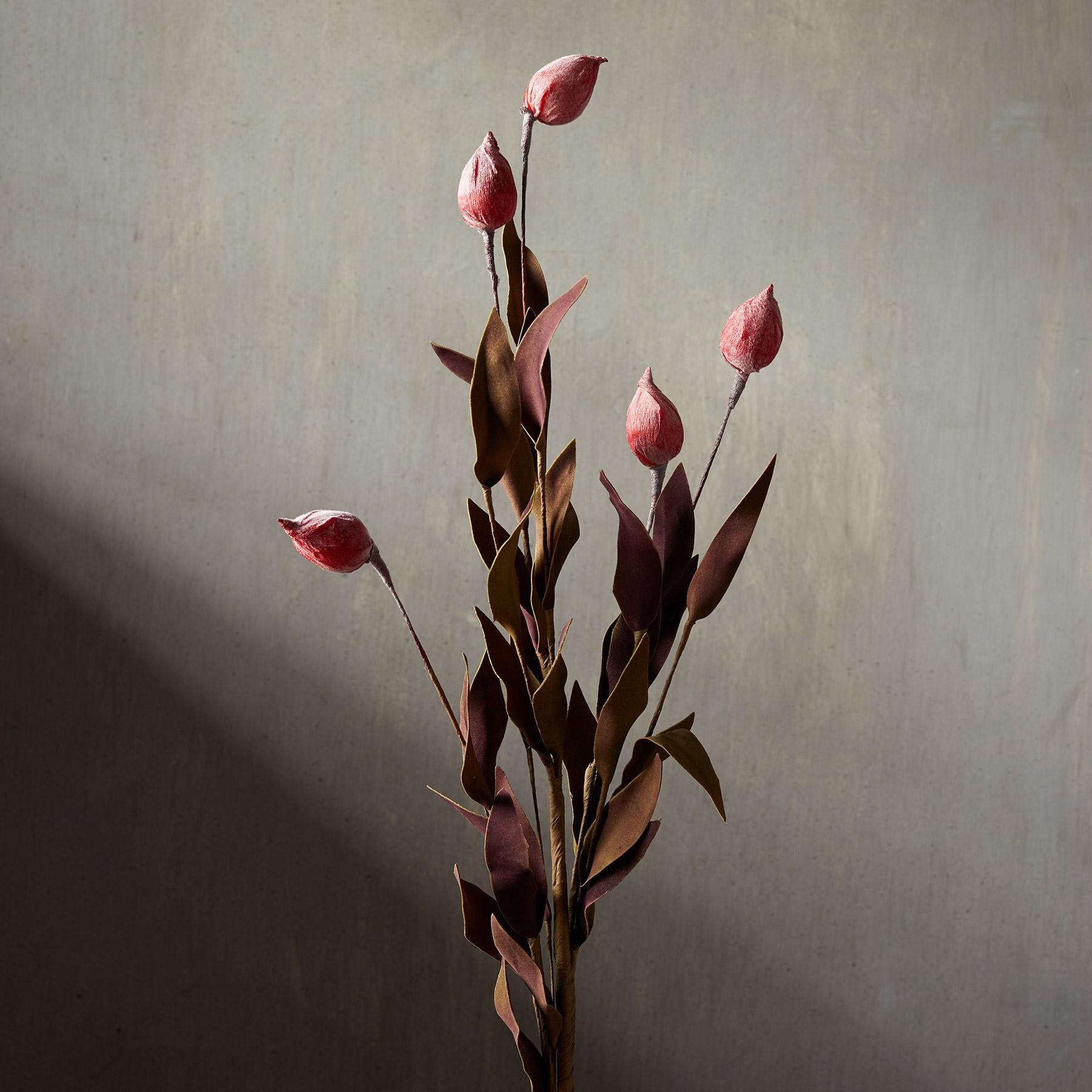 sundance-Bountiful Botanicals-Sundance Outlet