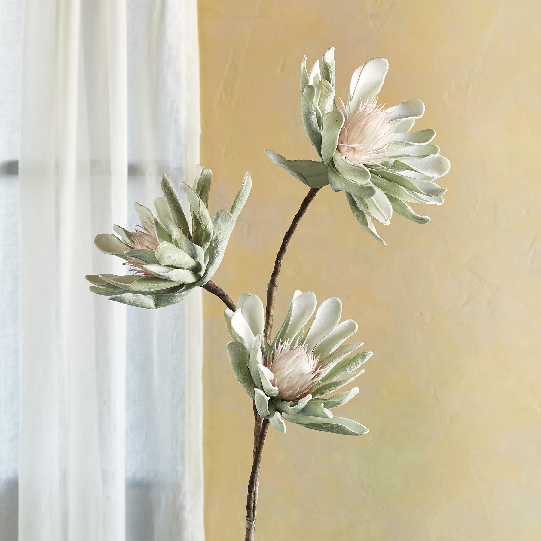 sundance-Bountiful Botanicals-Sundance Outlet